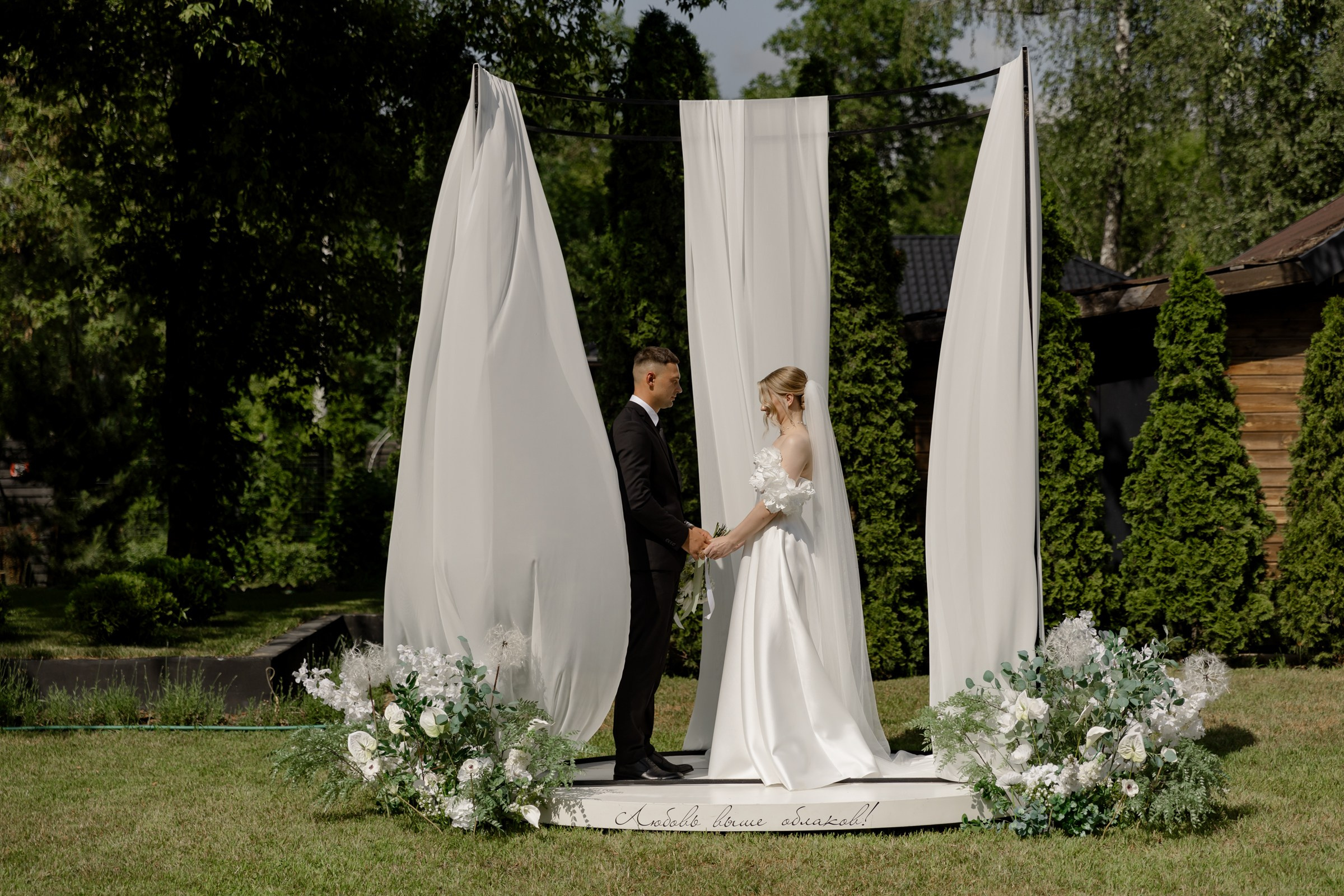 Свадьба пес и котики. Dima Lemeshevsky