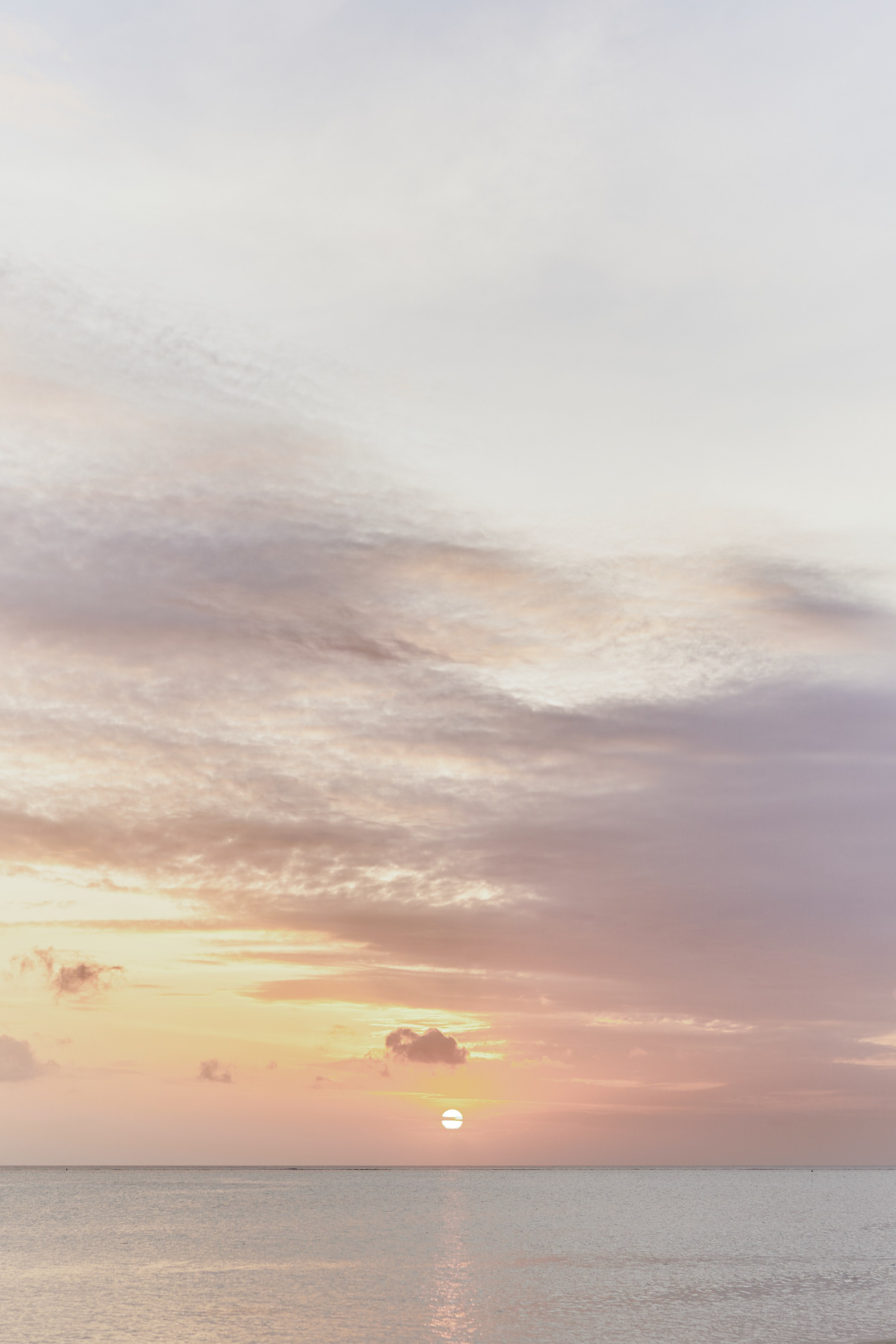 Сергей и Светлана. Свадебный и семейный фотограф в Санкт-Петербурге Дмитрий Панин