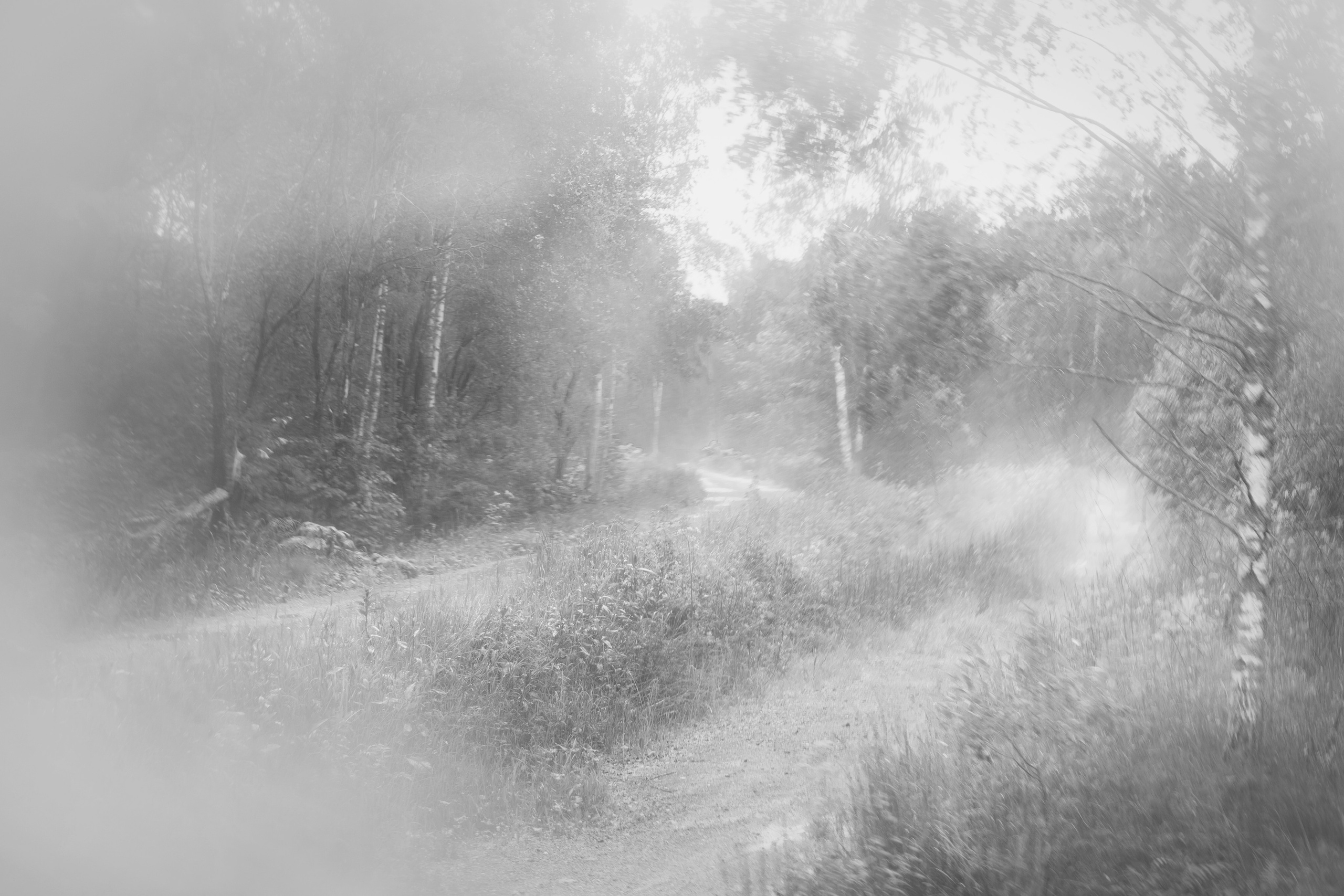Кимрские исторические тракты: Ильинское кольцо 2026. Профессиональный фотограф, фотохудожник, видеограф из Москвы