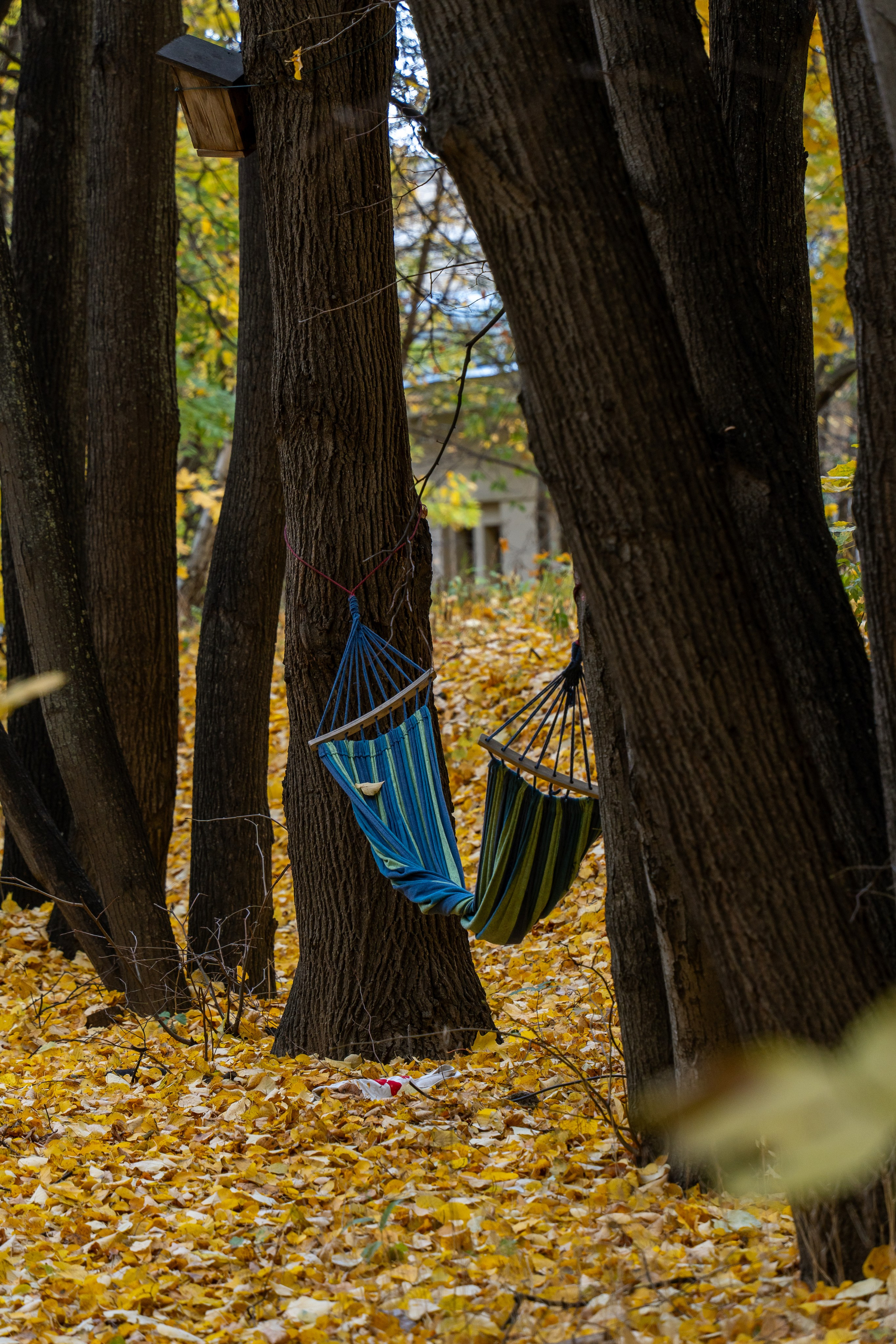 20251012 МГУ. Дмитрий Ремизов. Фотография, как хобби