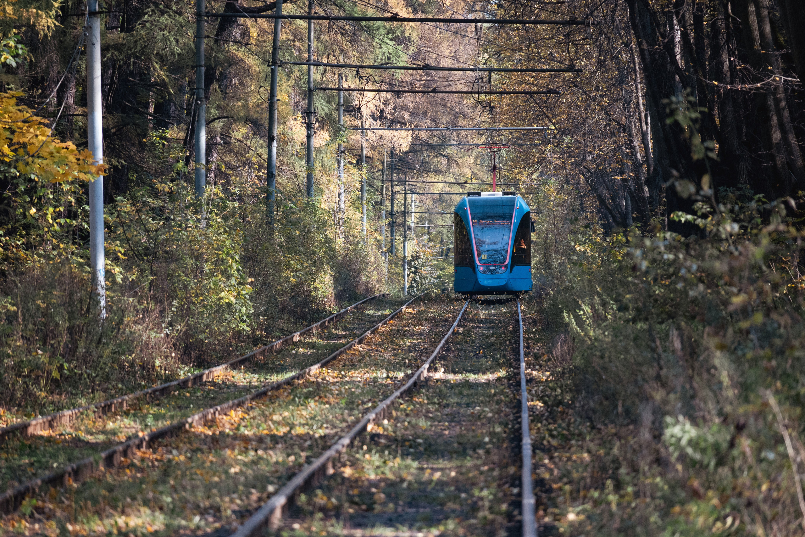 20241012 Измайлово. Дмитрий Ремизов. Фотография, как хобби