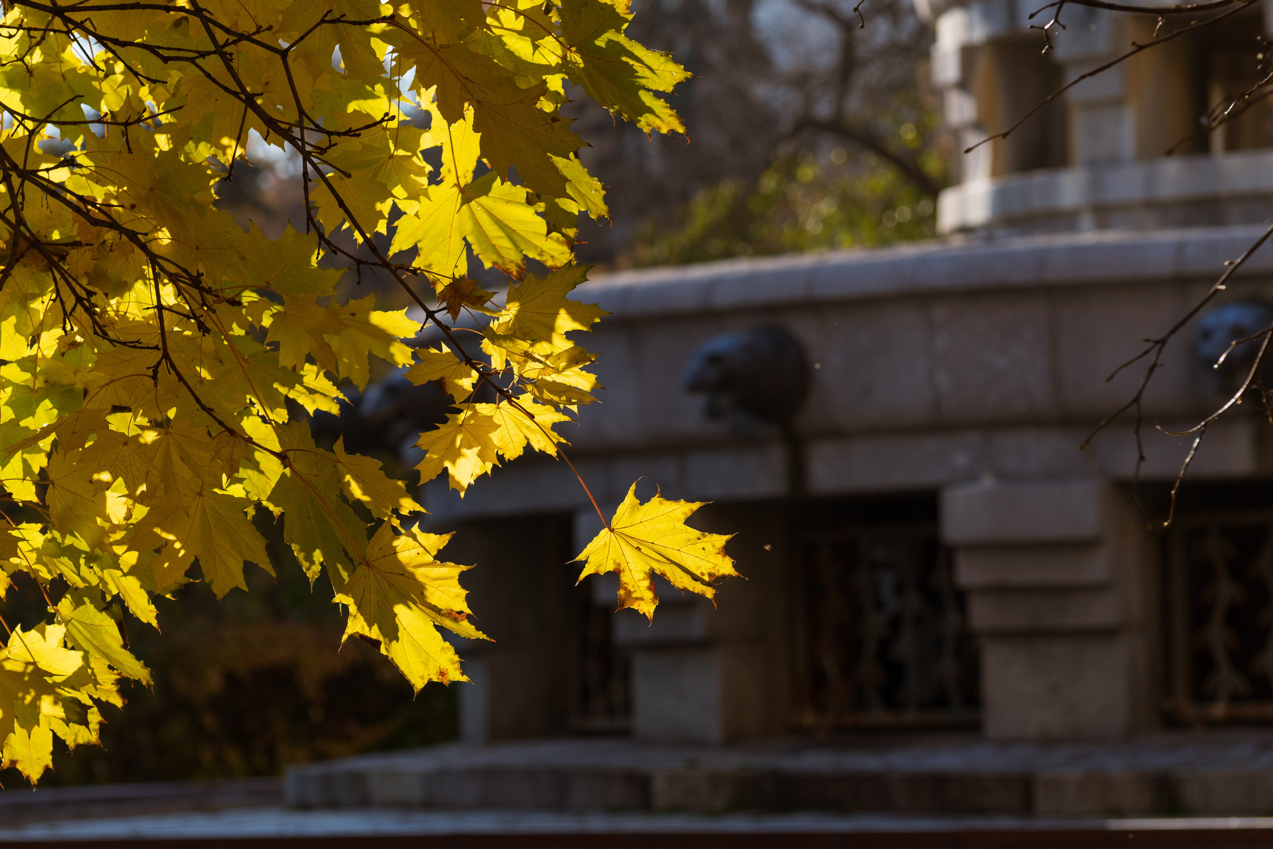 20211010 МГУ. Дмитрий Ремизов. Фотография, как хобби