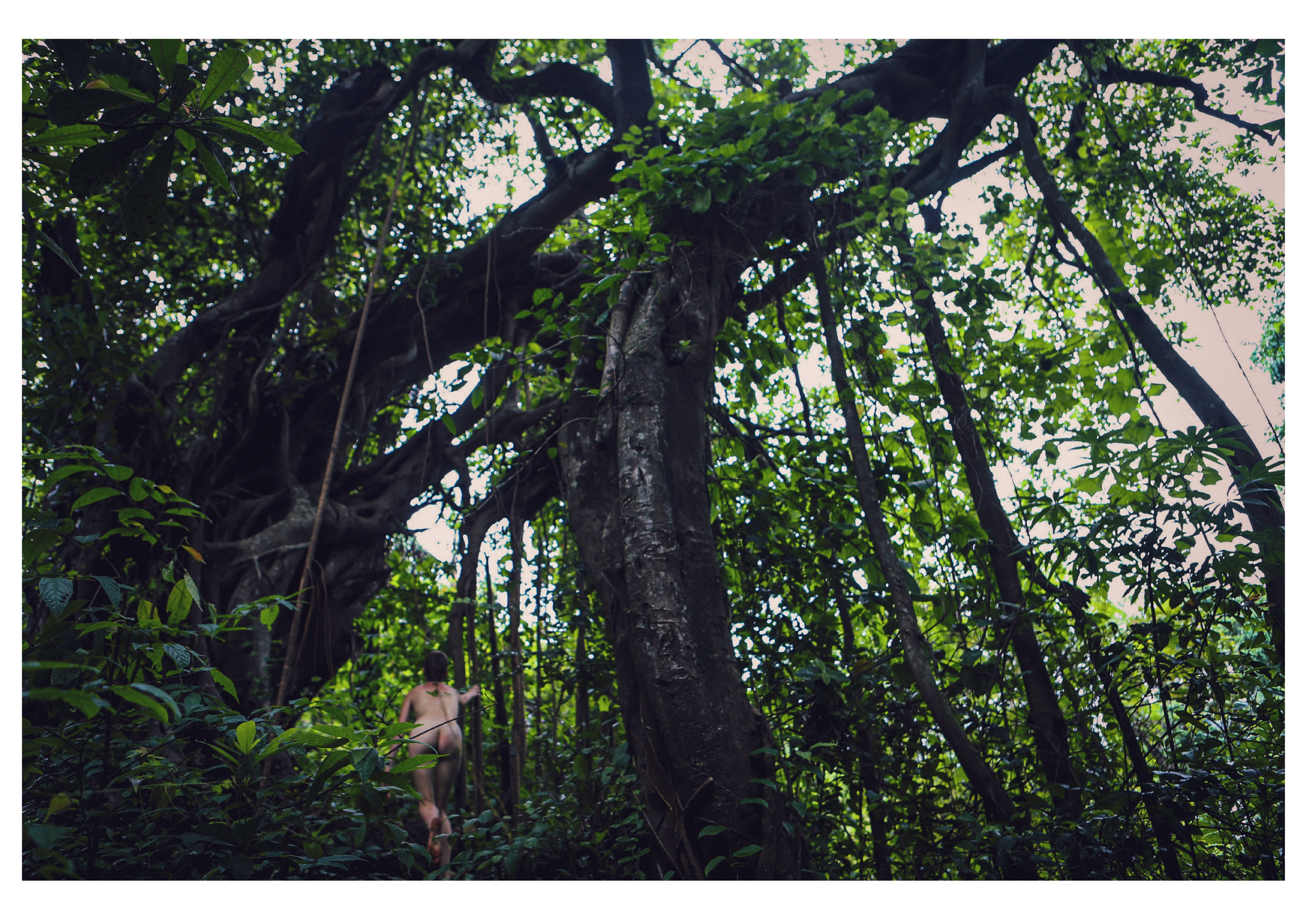 Nature me. Сайт Фотографа MASHASOLAR