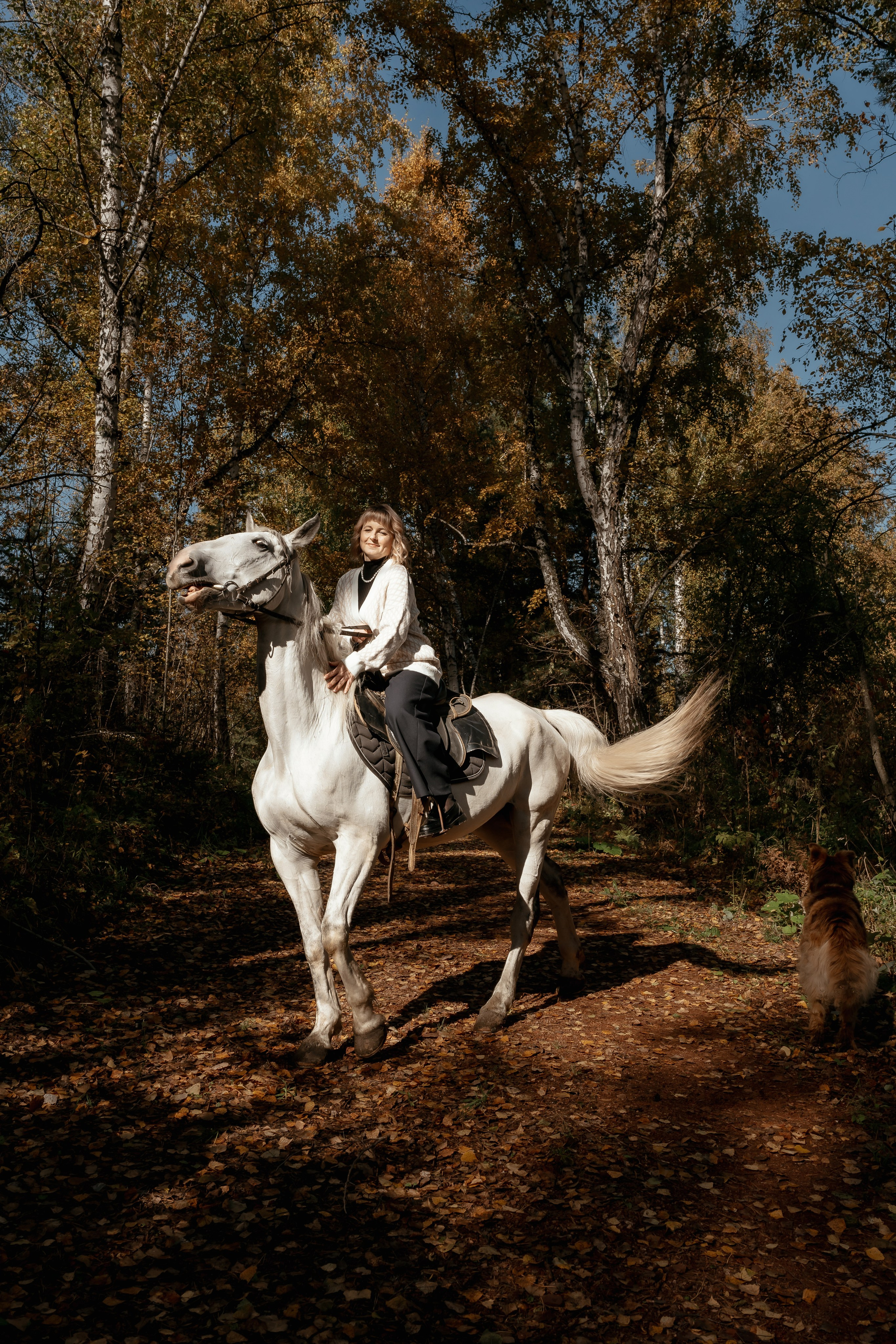 На конном дворе. Фотограф Ким Наталья в Красноярске