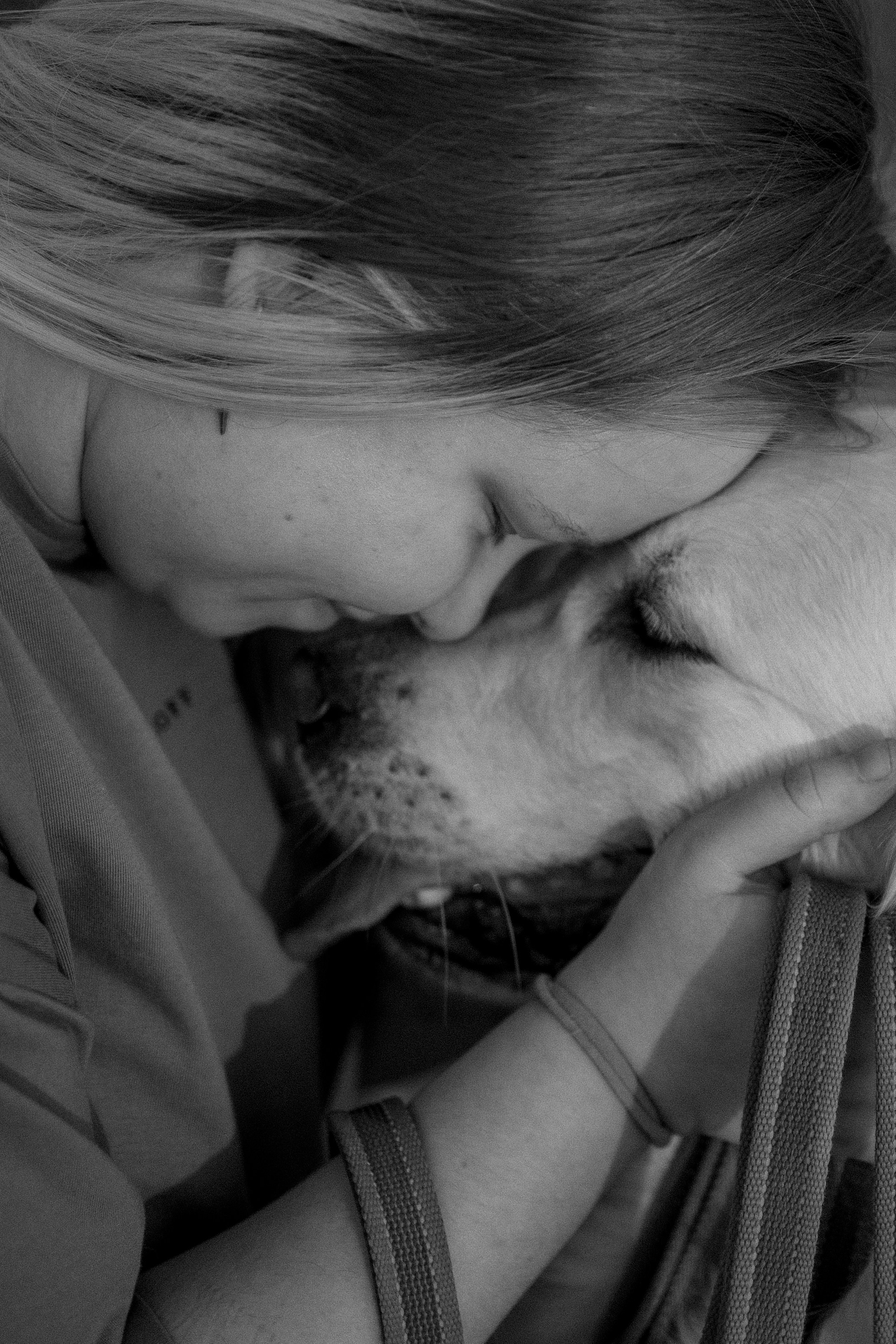 Милка и ребята. Фотограф — Анималист | Санкт-Петербург