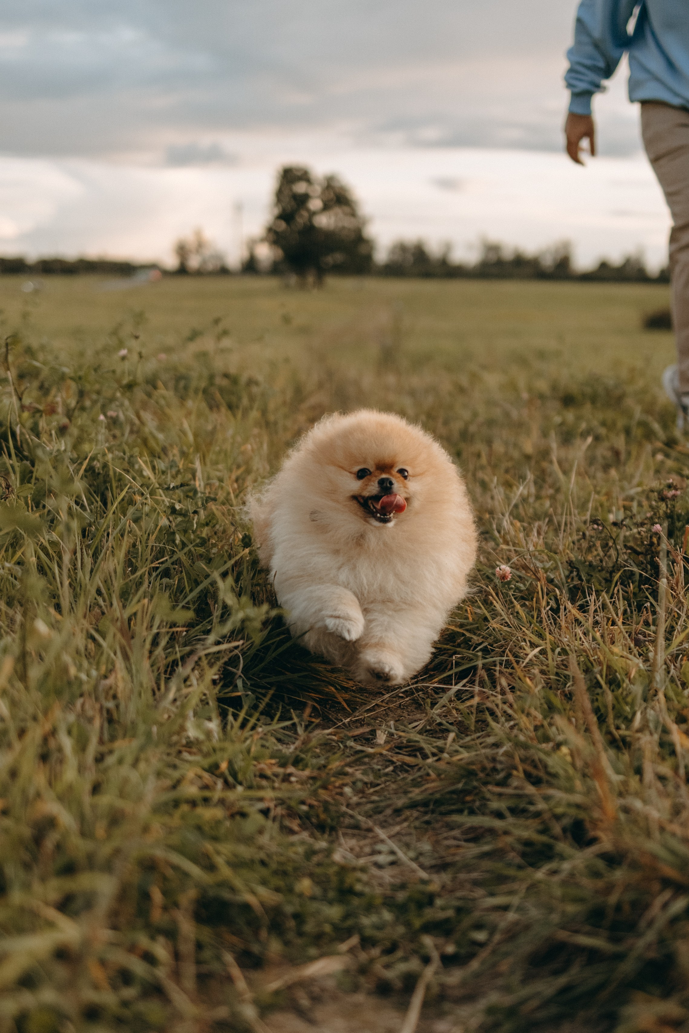 Стив и его семья. Фотограф — Анималист | Санкт-Петербург