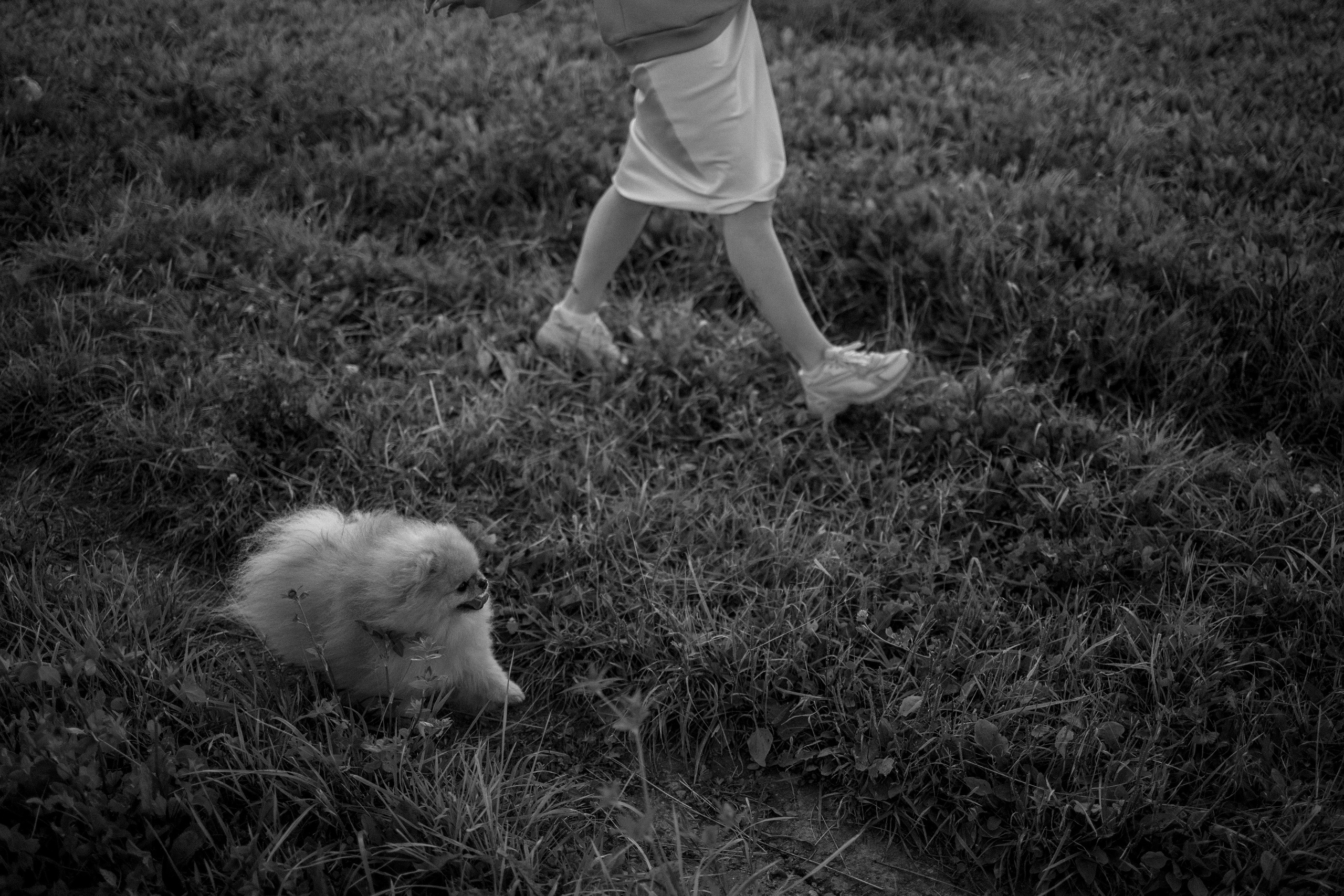 Стив и его семья. Фотограф — Анималист | Санкт-Петербург