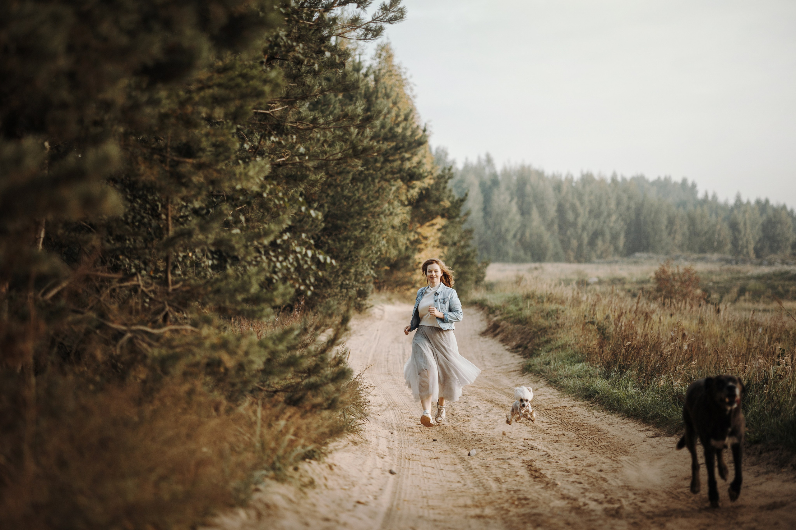 Любовь и ее хвостики. Фотограф — Анималист | Санкт-Петербург