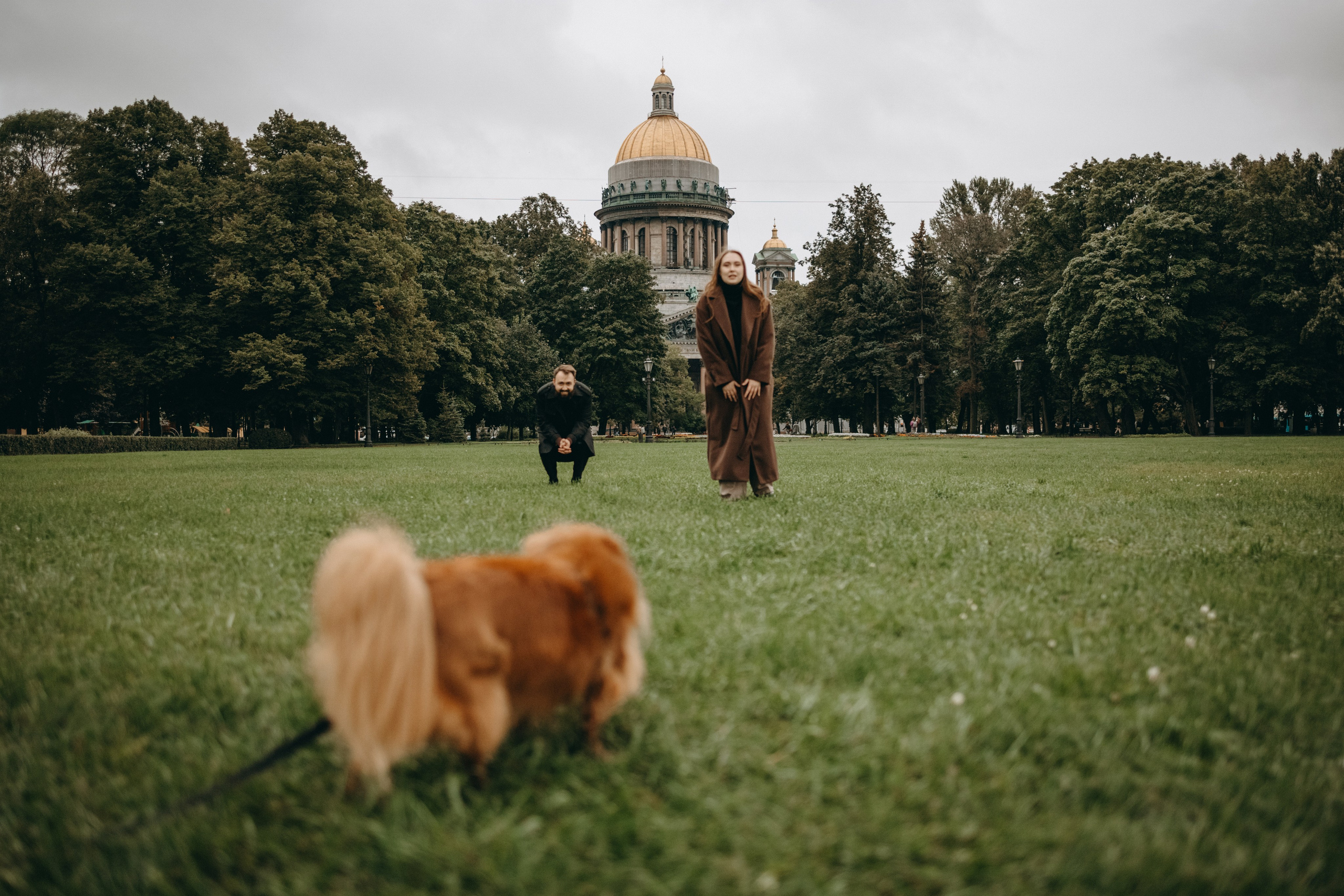 Жу и ее семья. Фотограф — Анималист | Санкт-Петербург