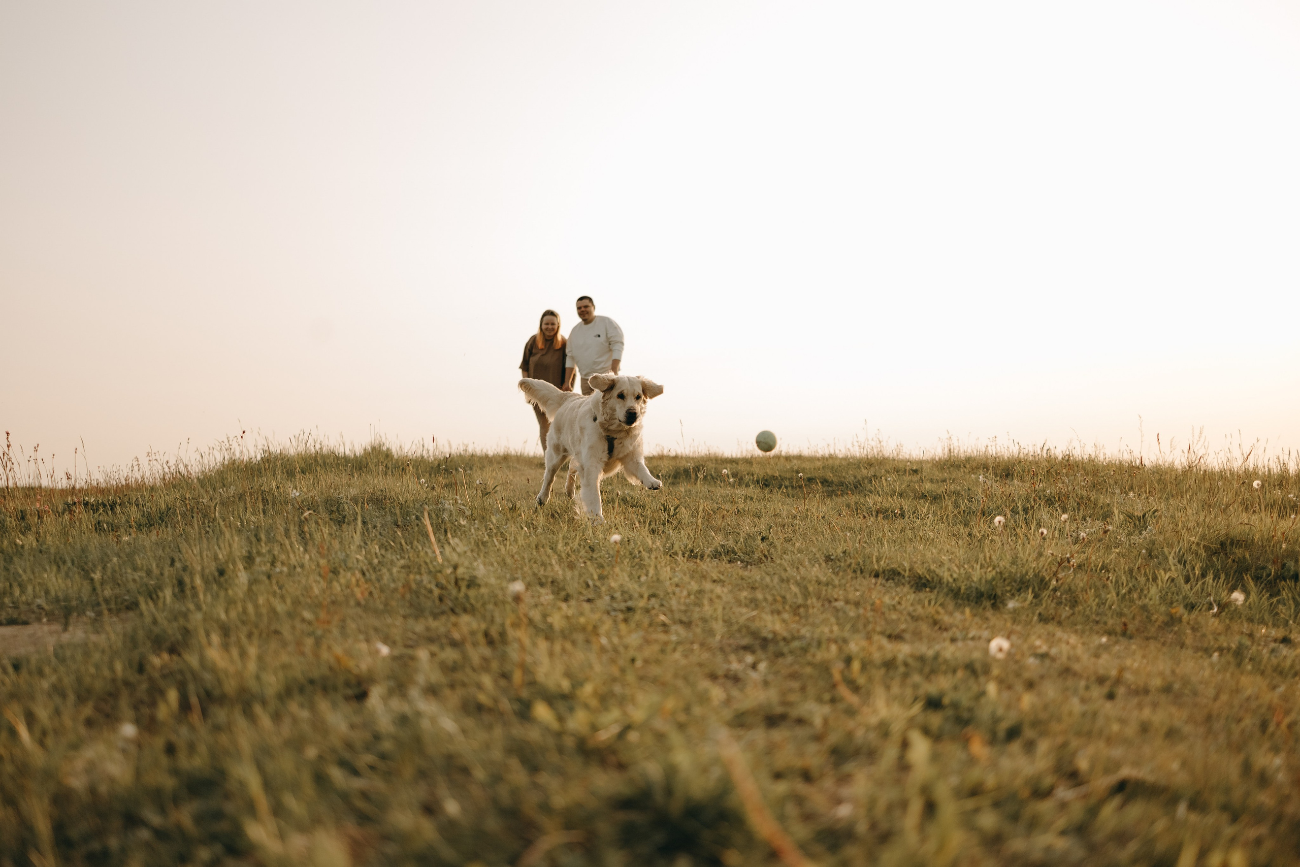 Милка и ребята. Фотограф — Анималист | Санкт-Петербург