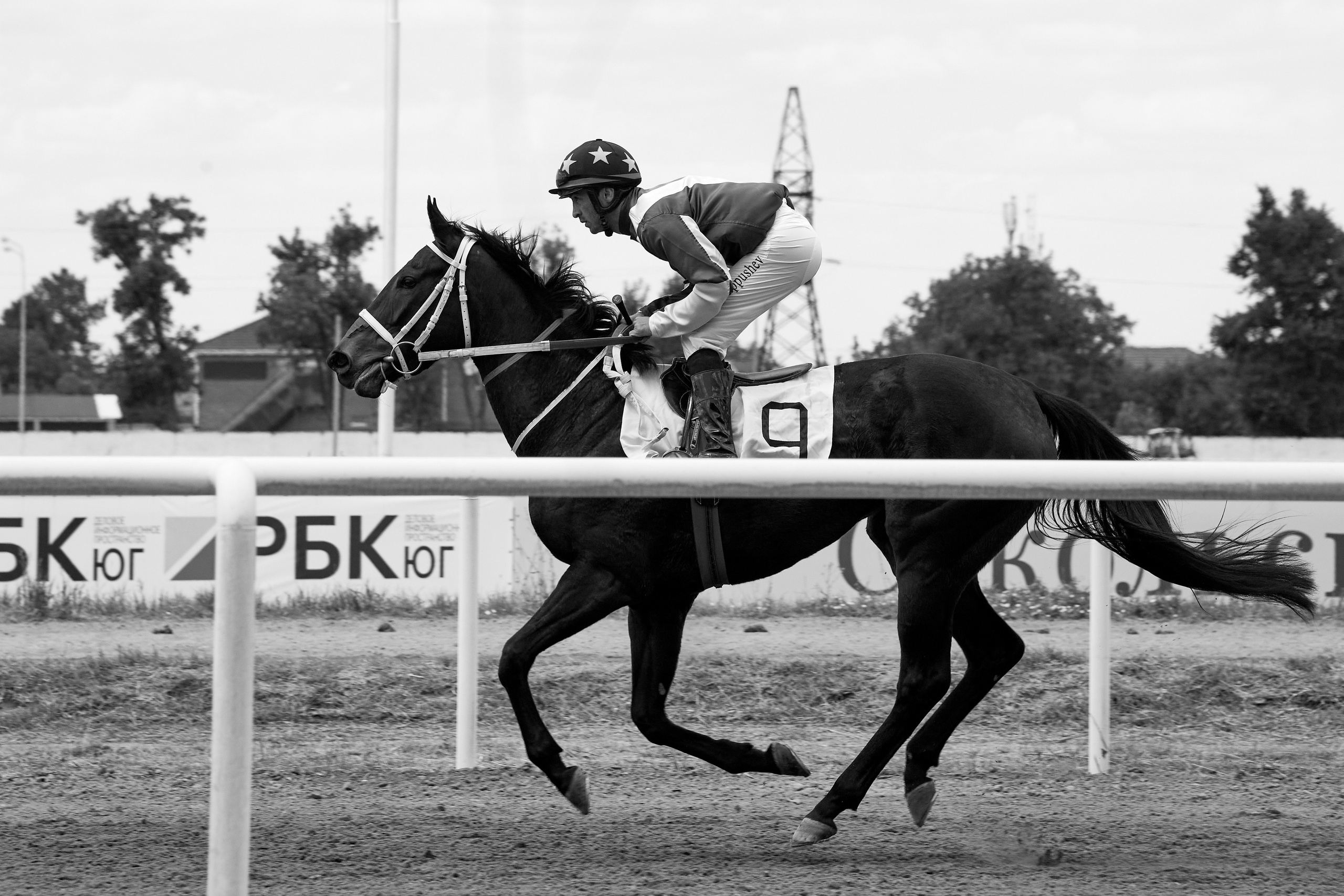 Скачки. Фотограф Юлия Маринина