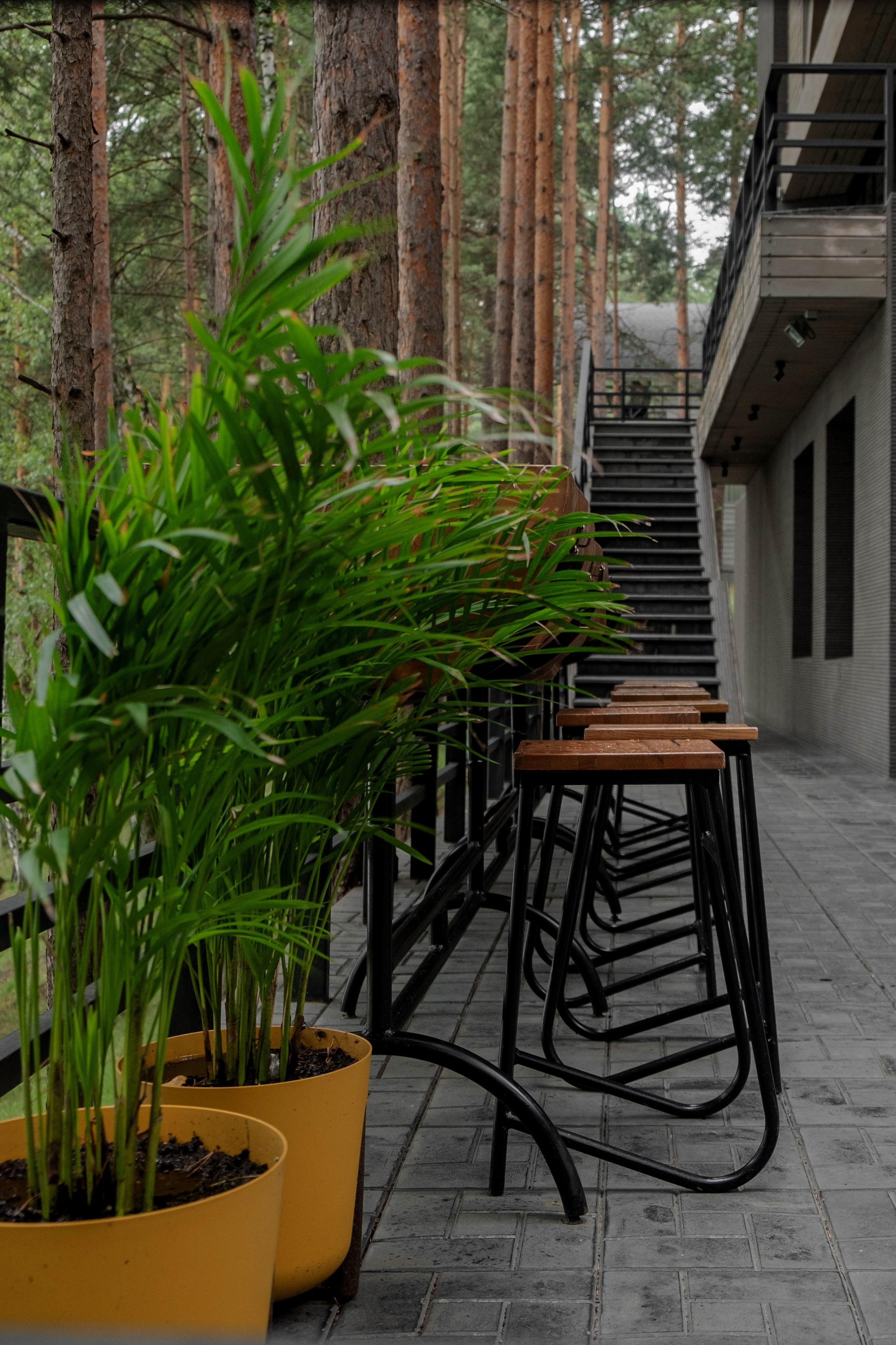 Total black. Свадебный и семейный фотограф в Новосибирске, Санкт-Петербурге, Москве