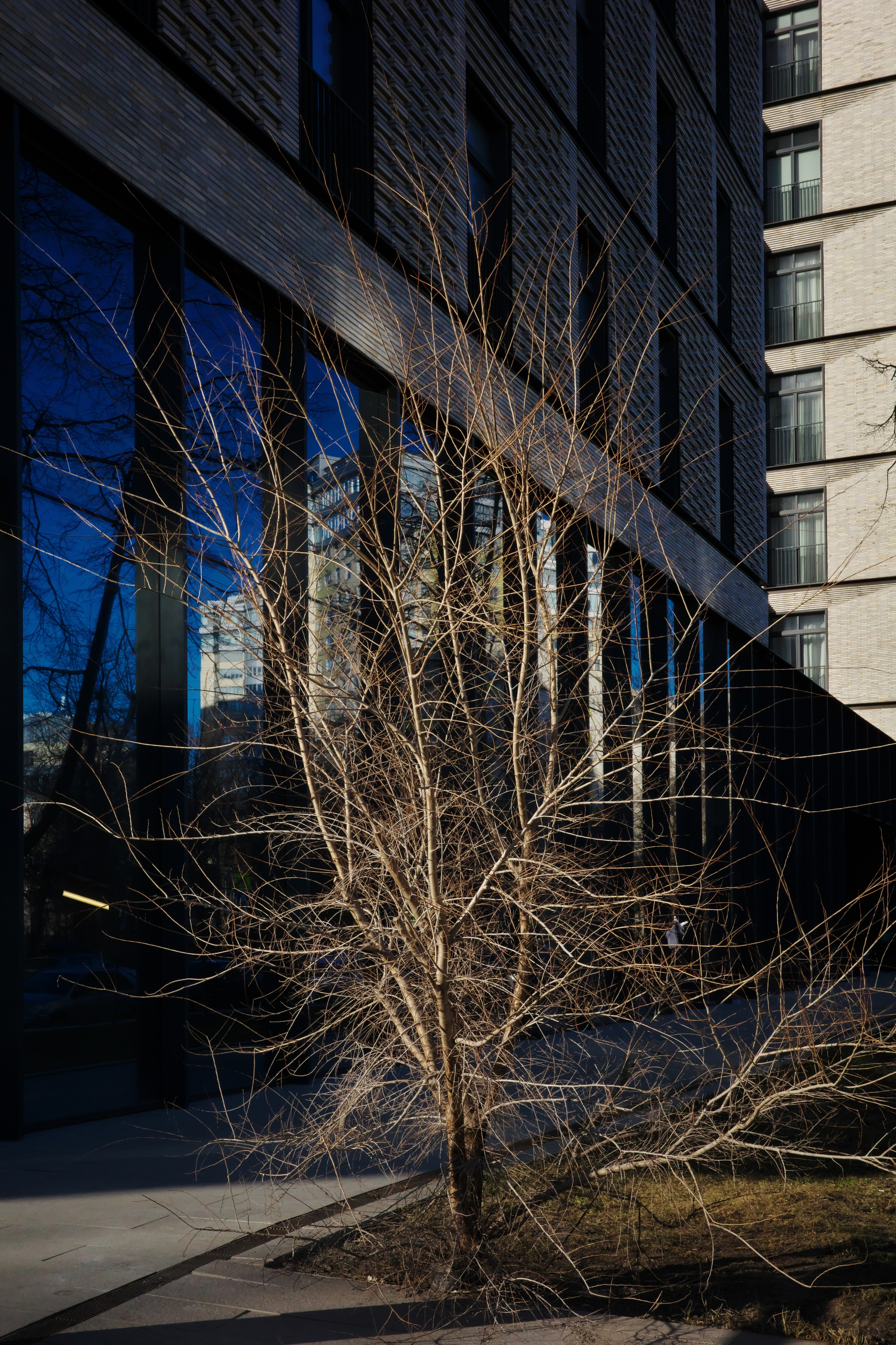 Весенняя Москва 😎. Миша Печёнкин | фотография