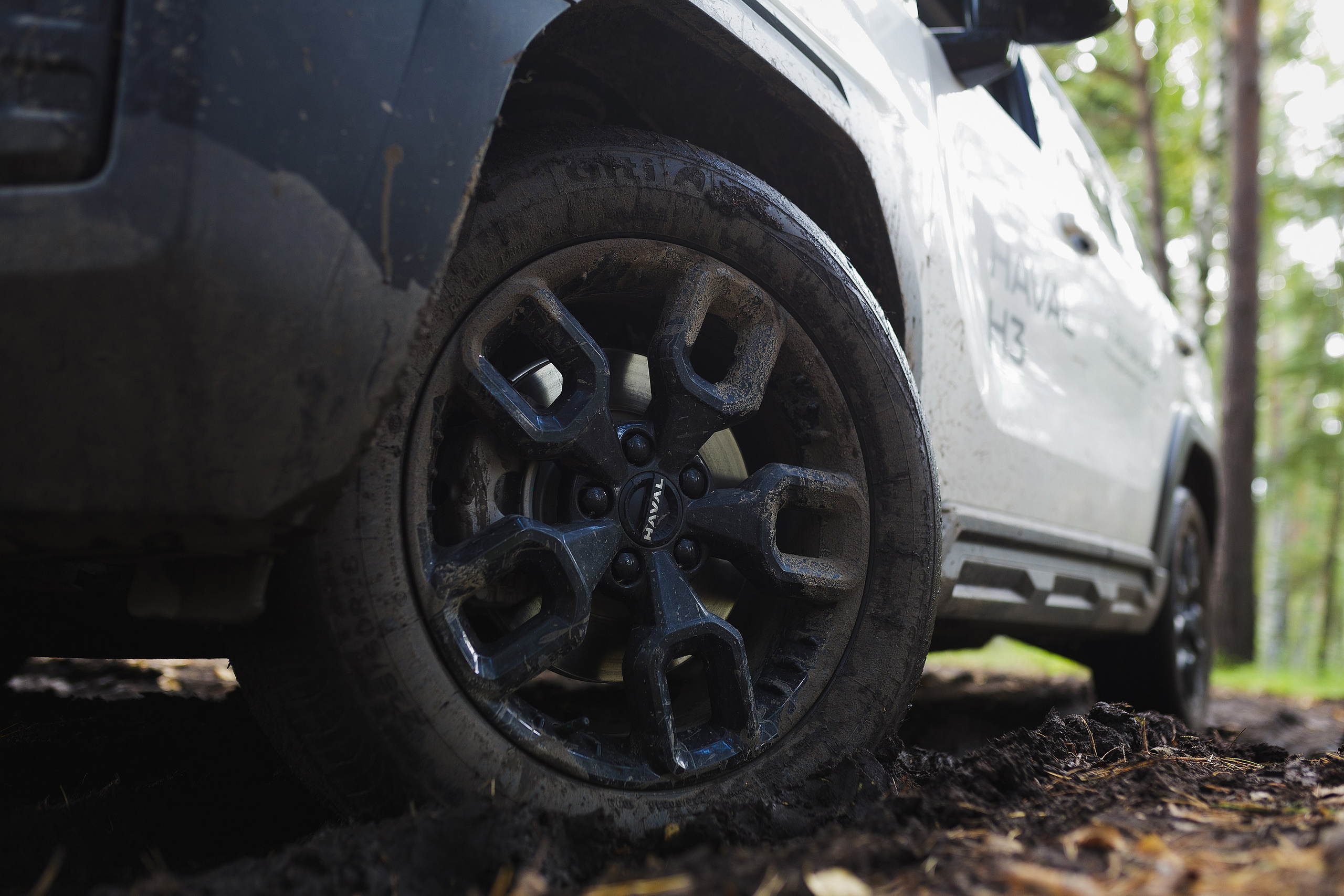 АВТО. Roman Photo