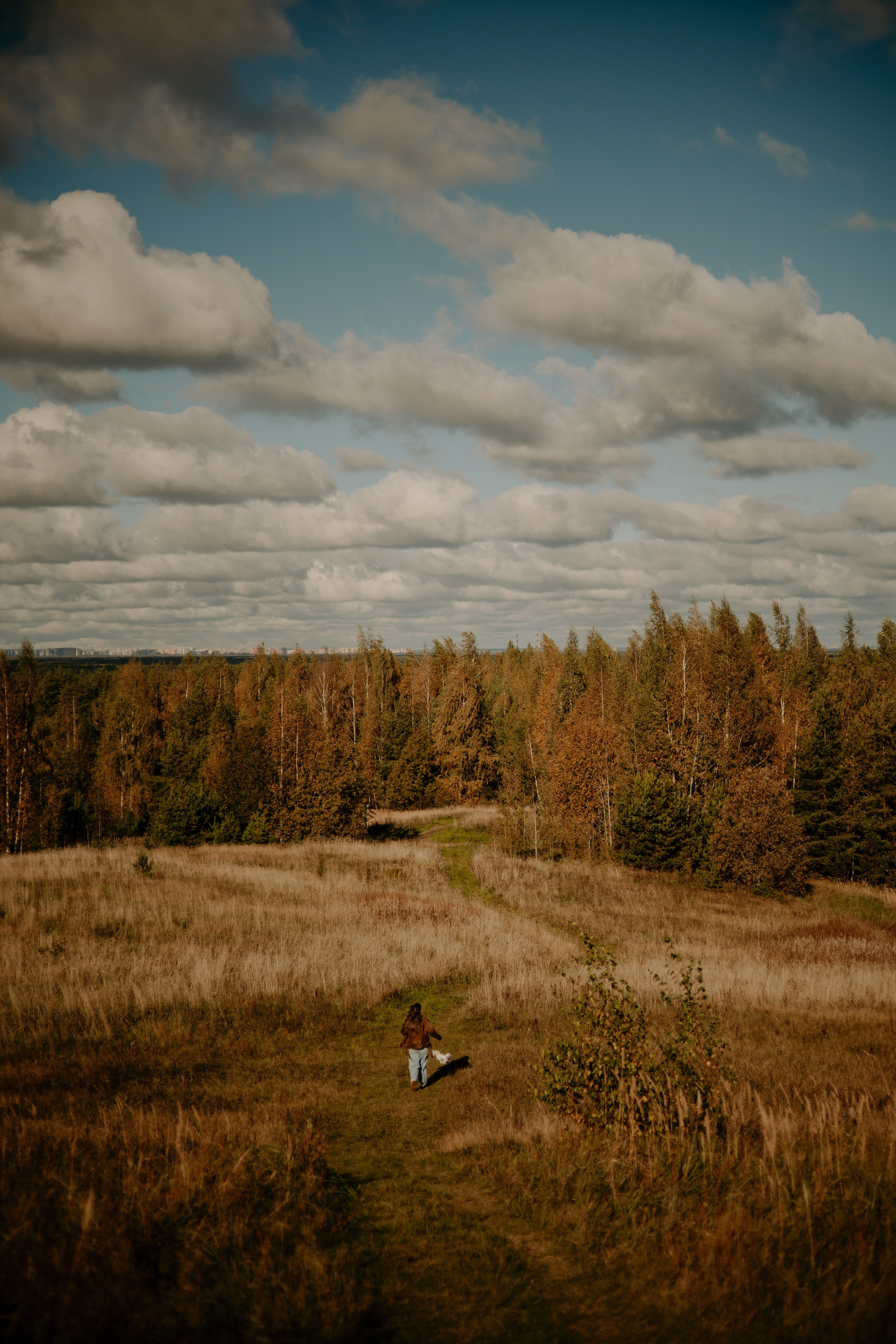 Любовь & Белла. Фотограф — анималист •love-story•|Санкт-Петербург