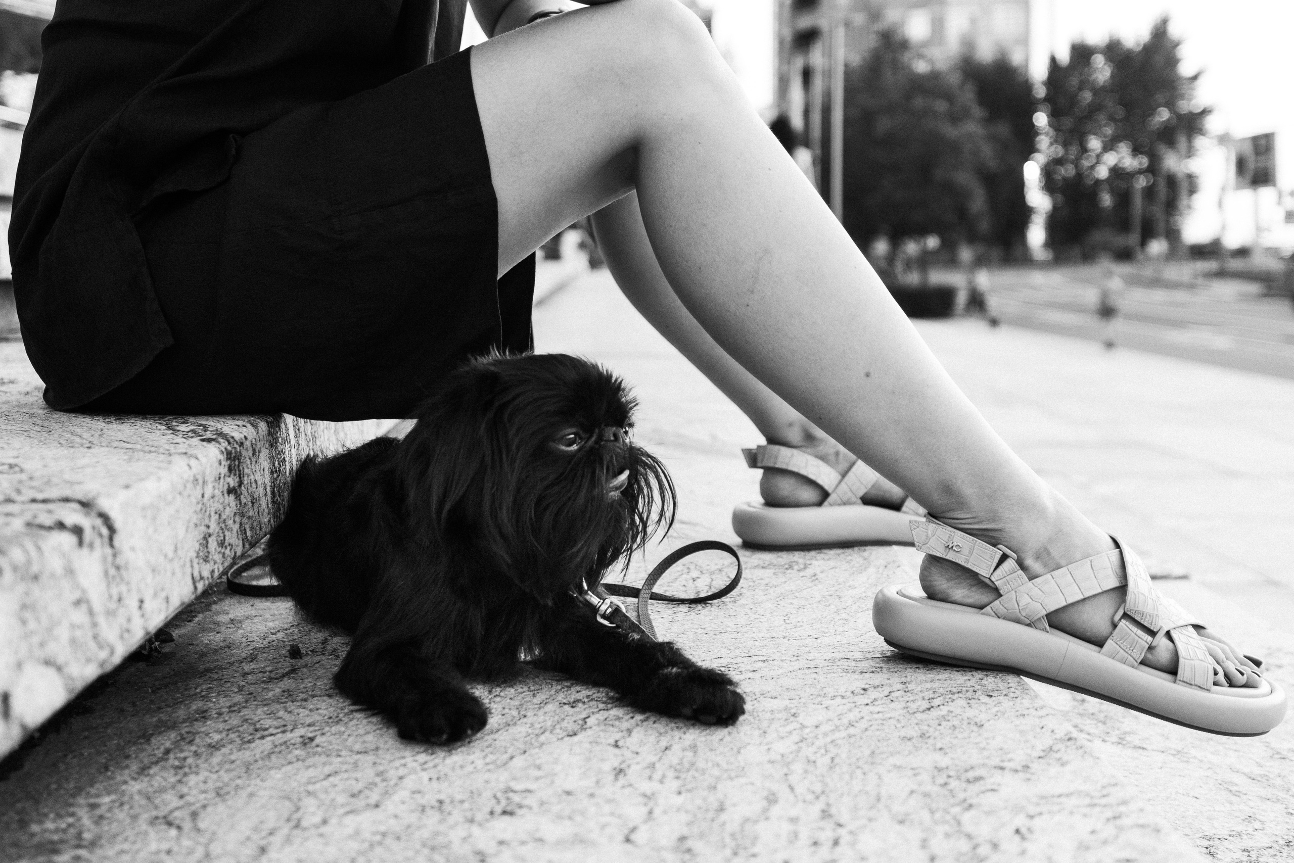 Ася и Кузя. Фотограф анималист Осипчикова Мария