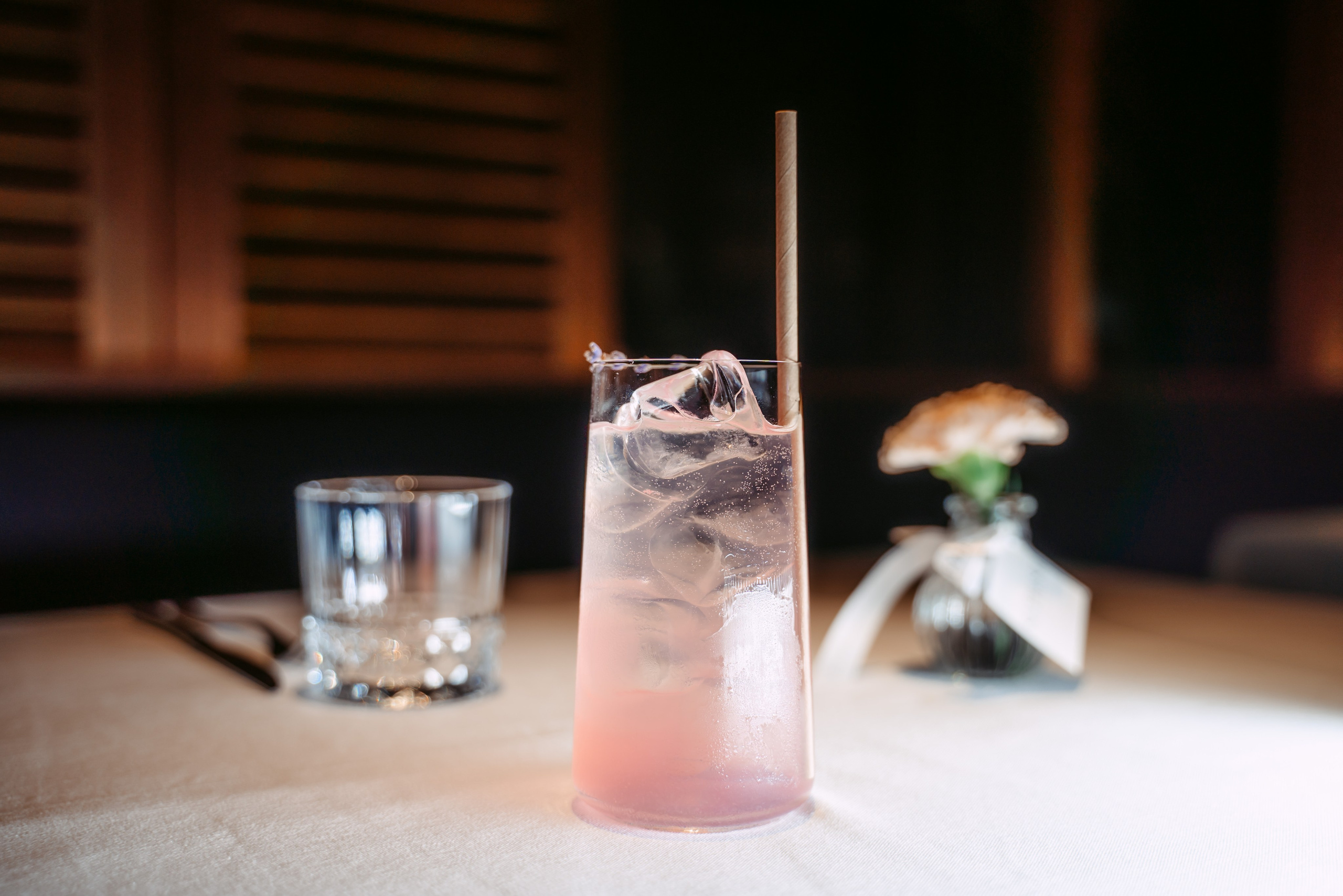 Avocado Queen / сеть ресторанов в Москве и Казани. Саша Копылов, фотограф в Казани