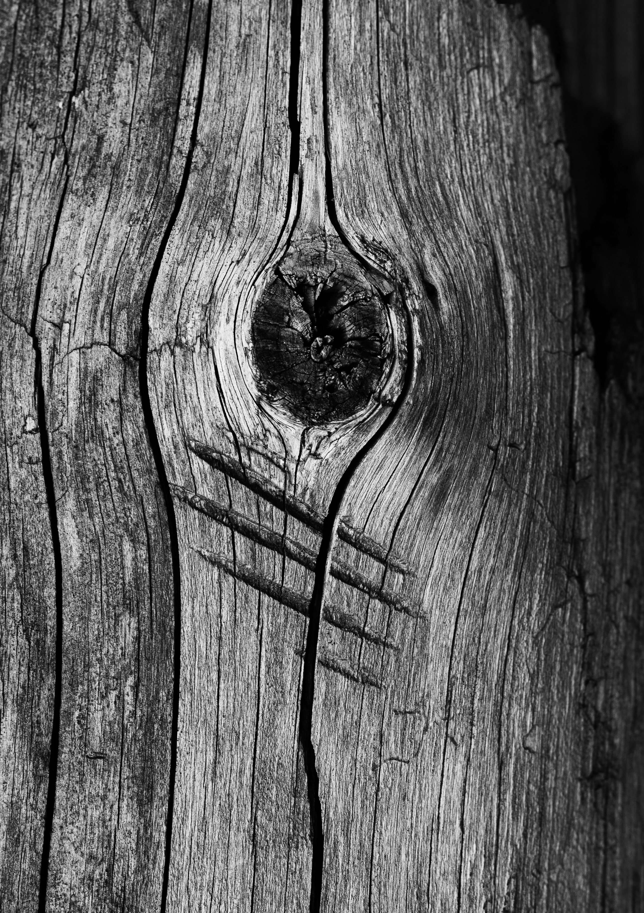 Жизнь. Фотограф Алматы | Весь мир — Никита Колодин