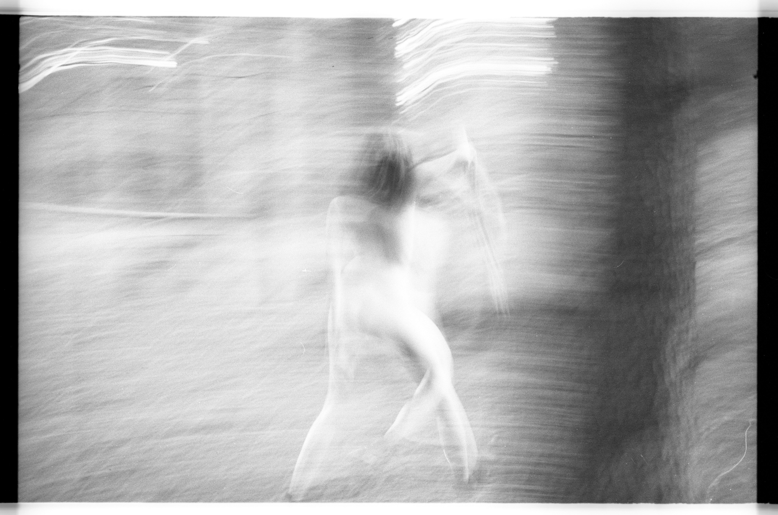 Лесная серия. Kirill Gribov