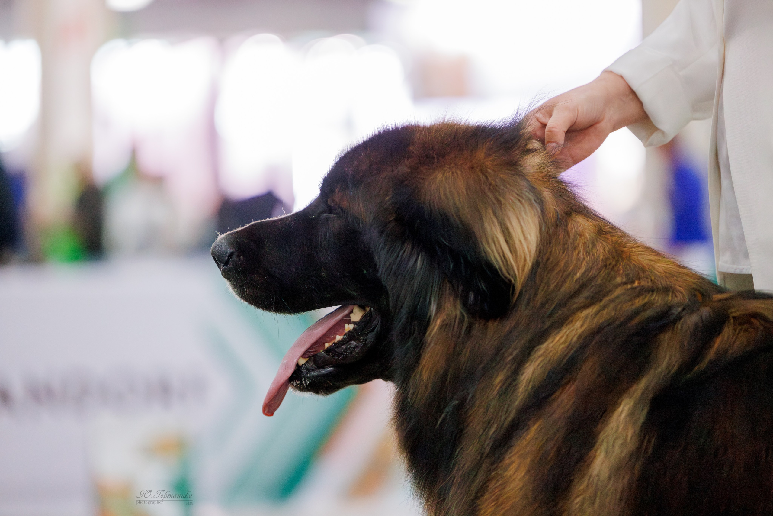 Евразия 15-16.11.2025. Фотограф-анималист Юлия Германика