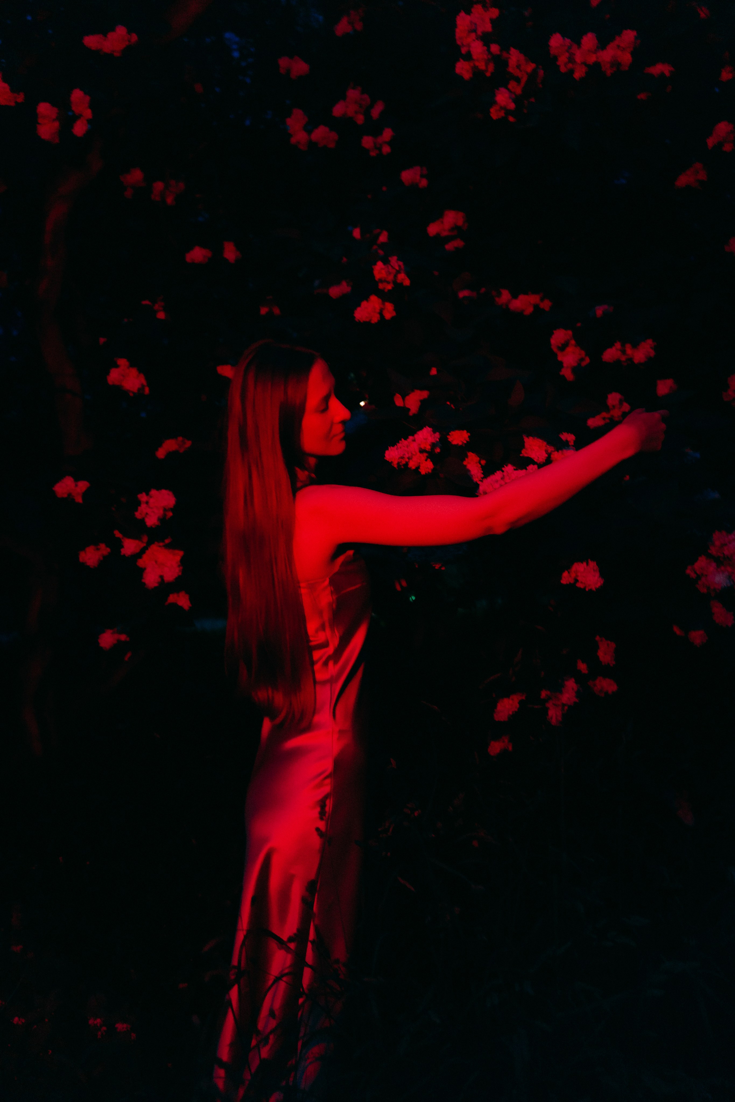 Сиреневый сад. Фотограф Москва