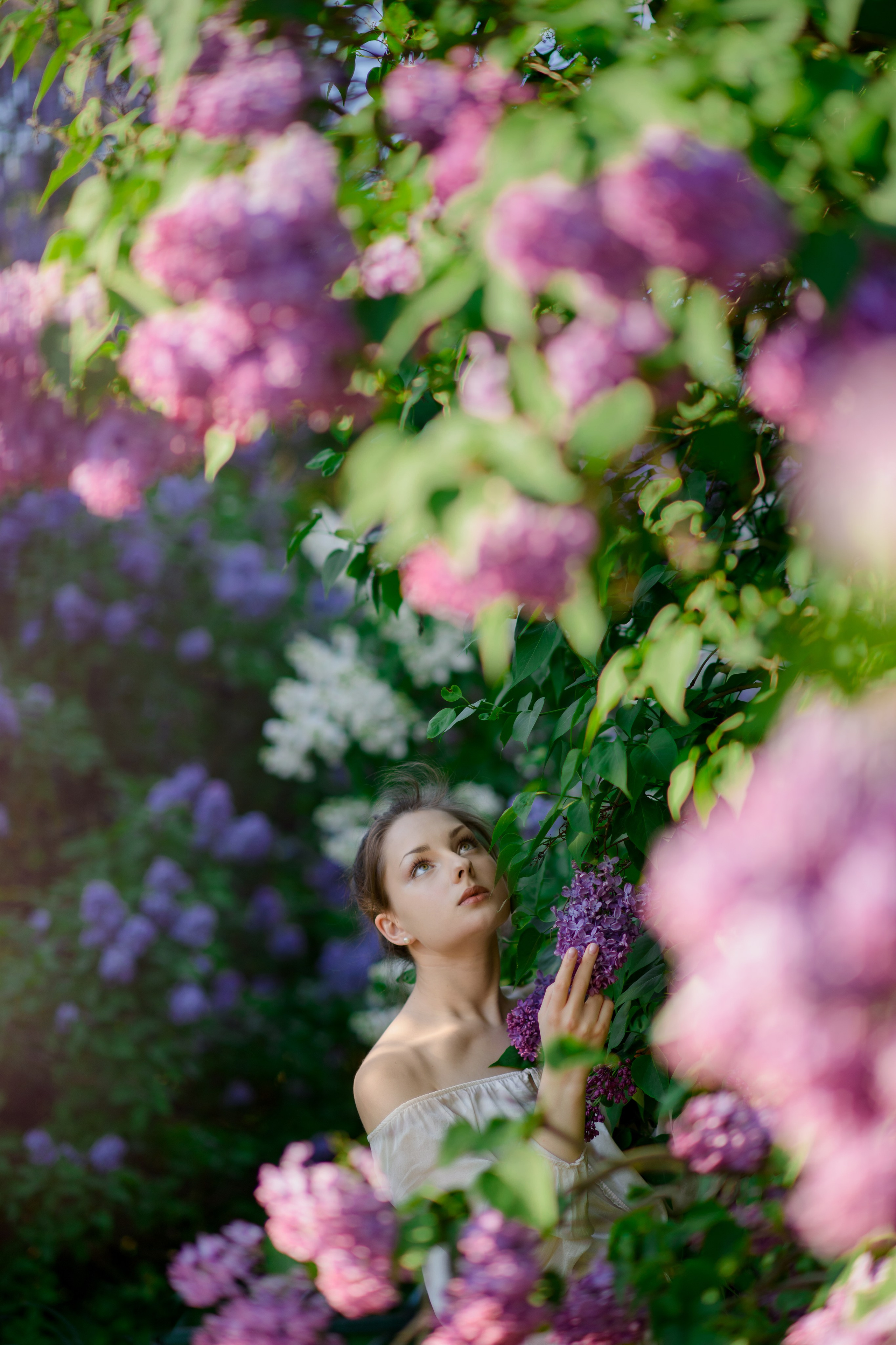 Фотосессия в сиреневом саду. Главная