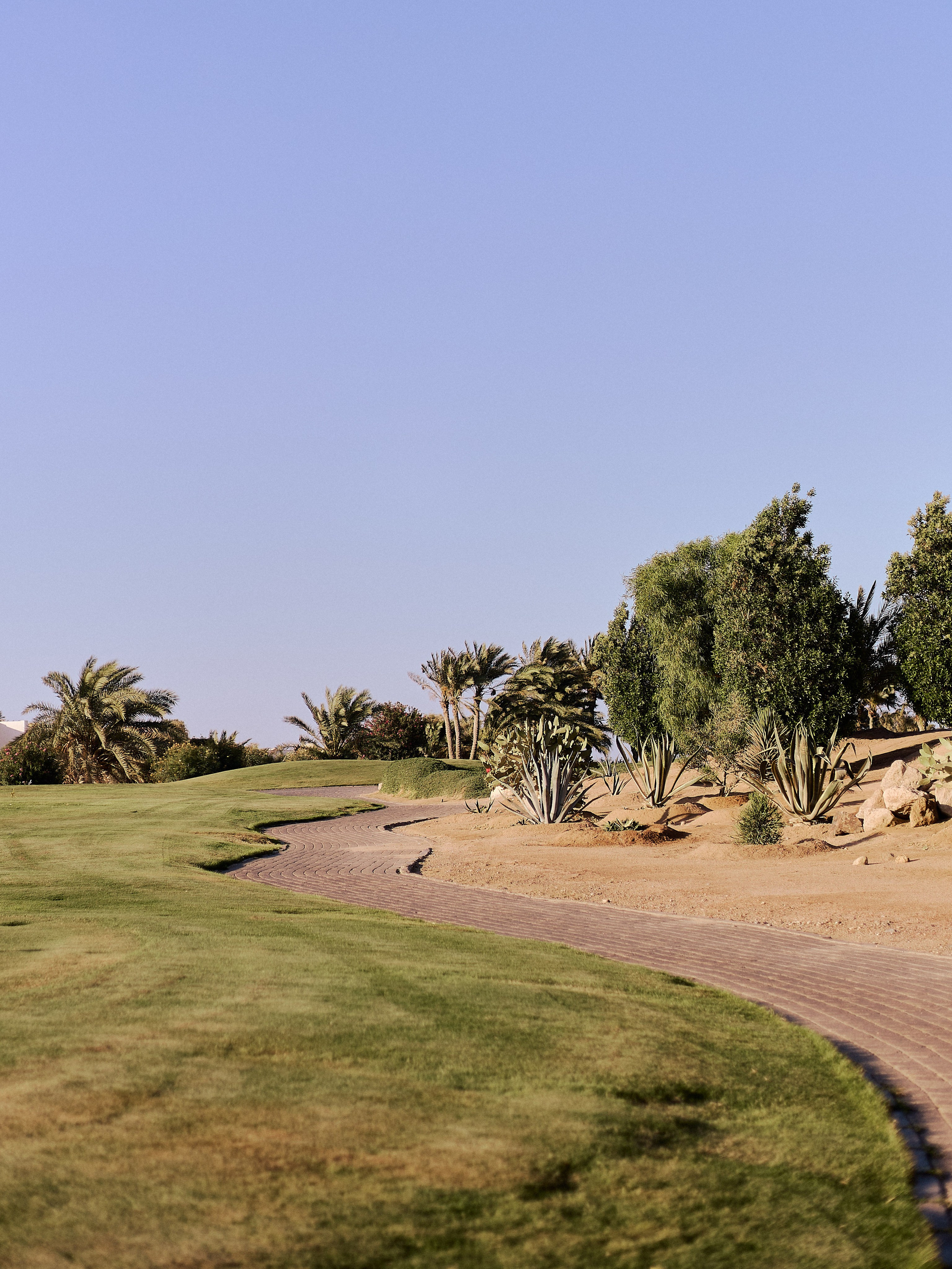 Другое 2. Jorgis Talè — photographer, kind person, teacher of arts and other mag