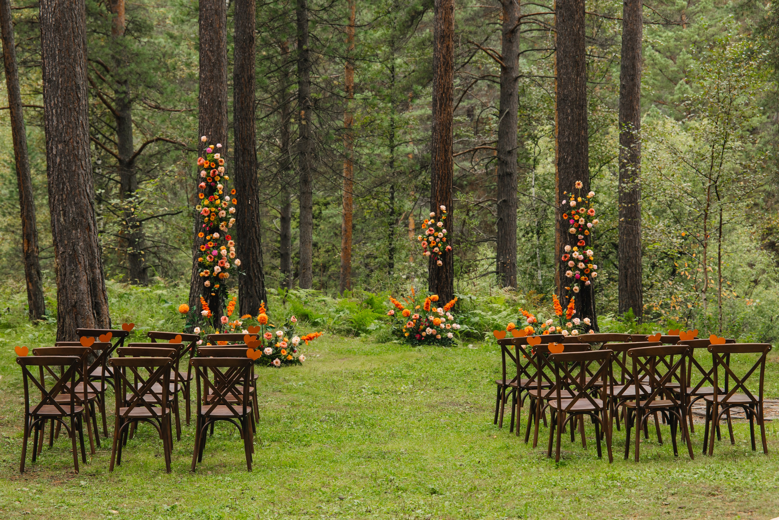 Данил и Даша. Организатор Романова Любовь