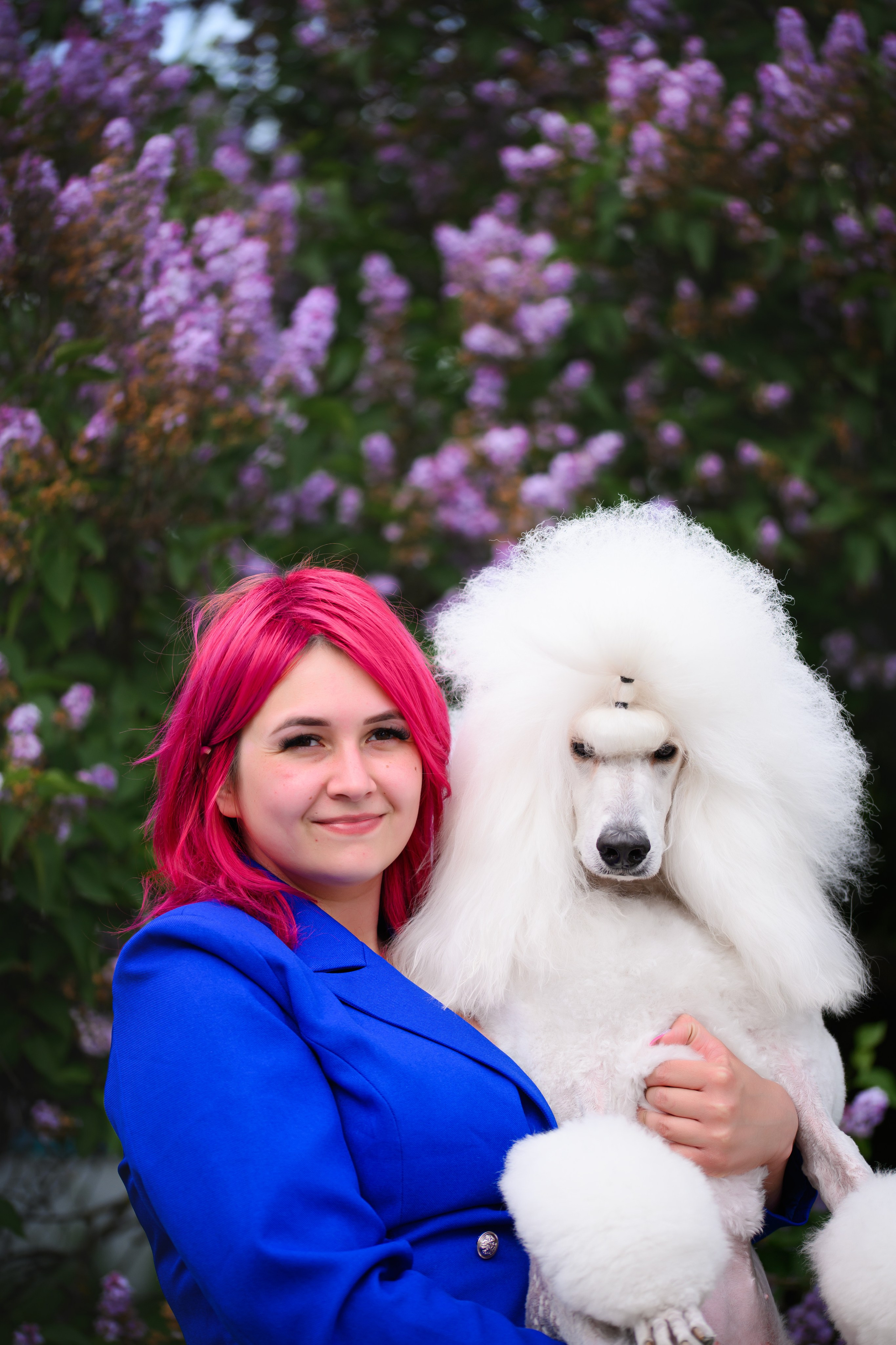 Собаки. FASHION ФОТОГРАФ КАЗАНЬ