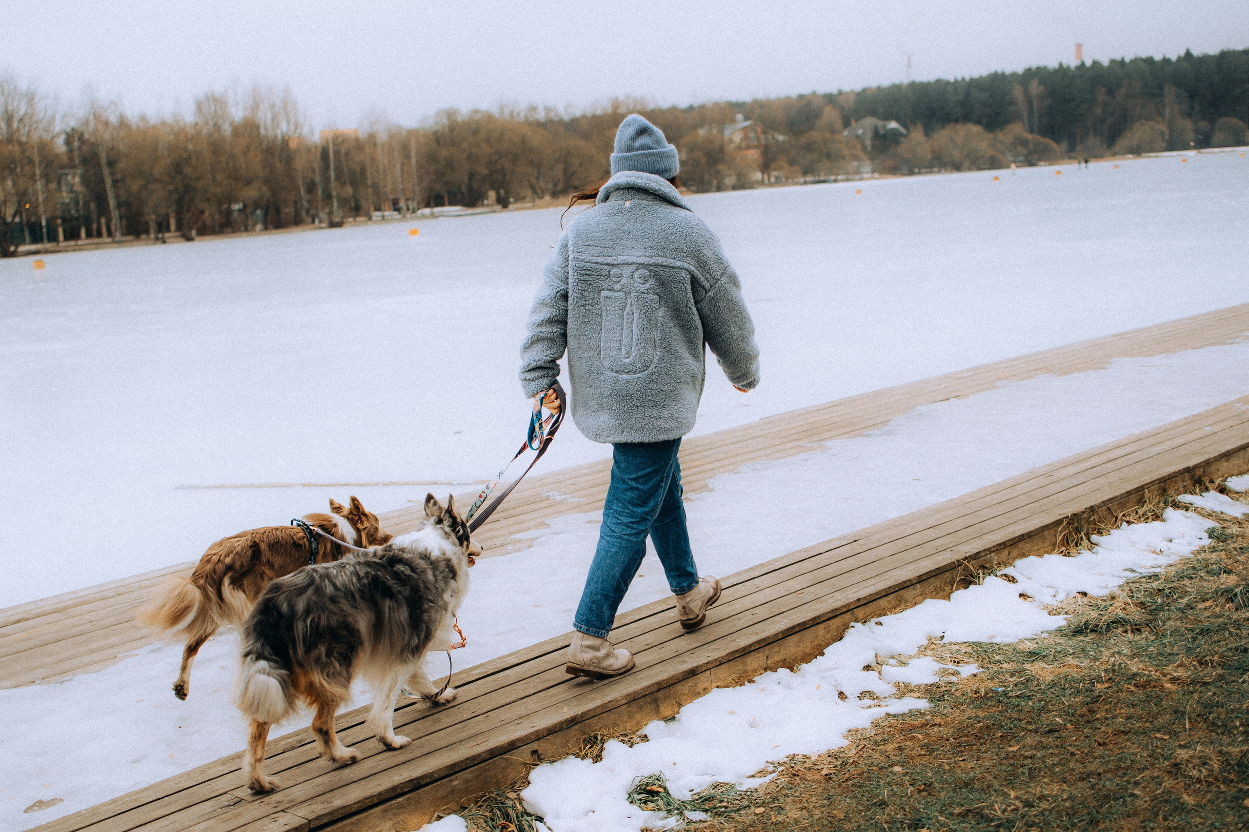 Полина, Милли и Паддингтон