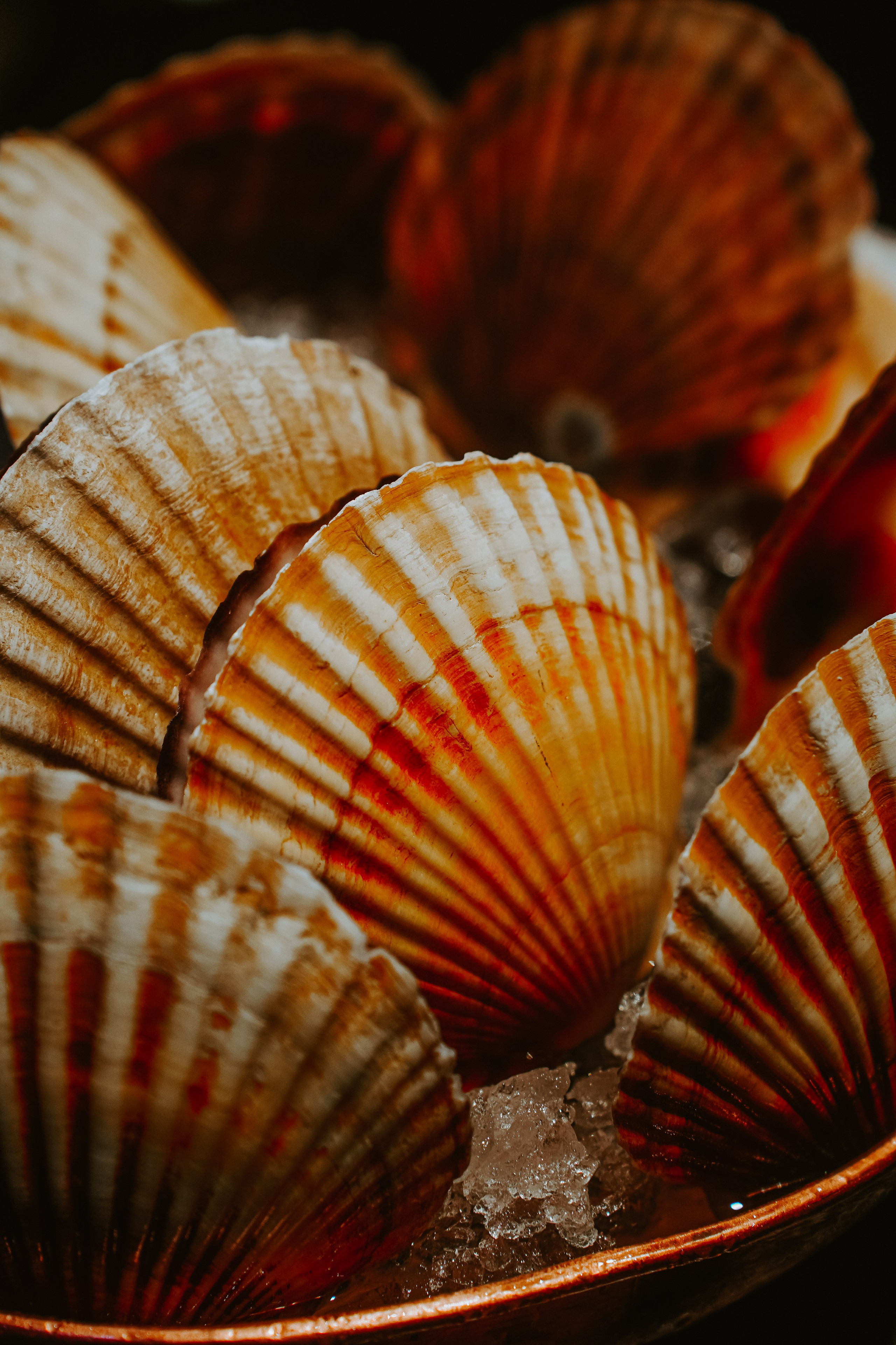 Food. Фотограф Москва