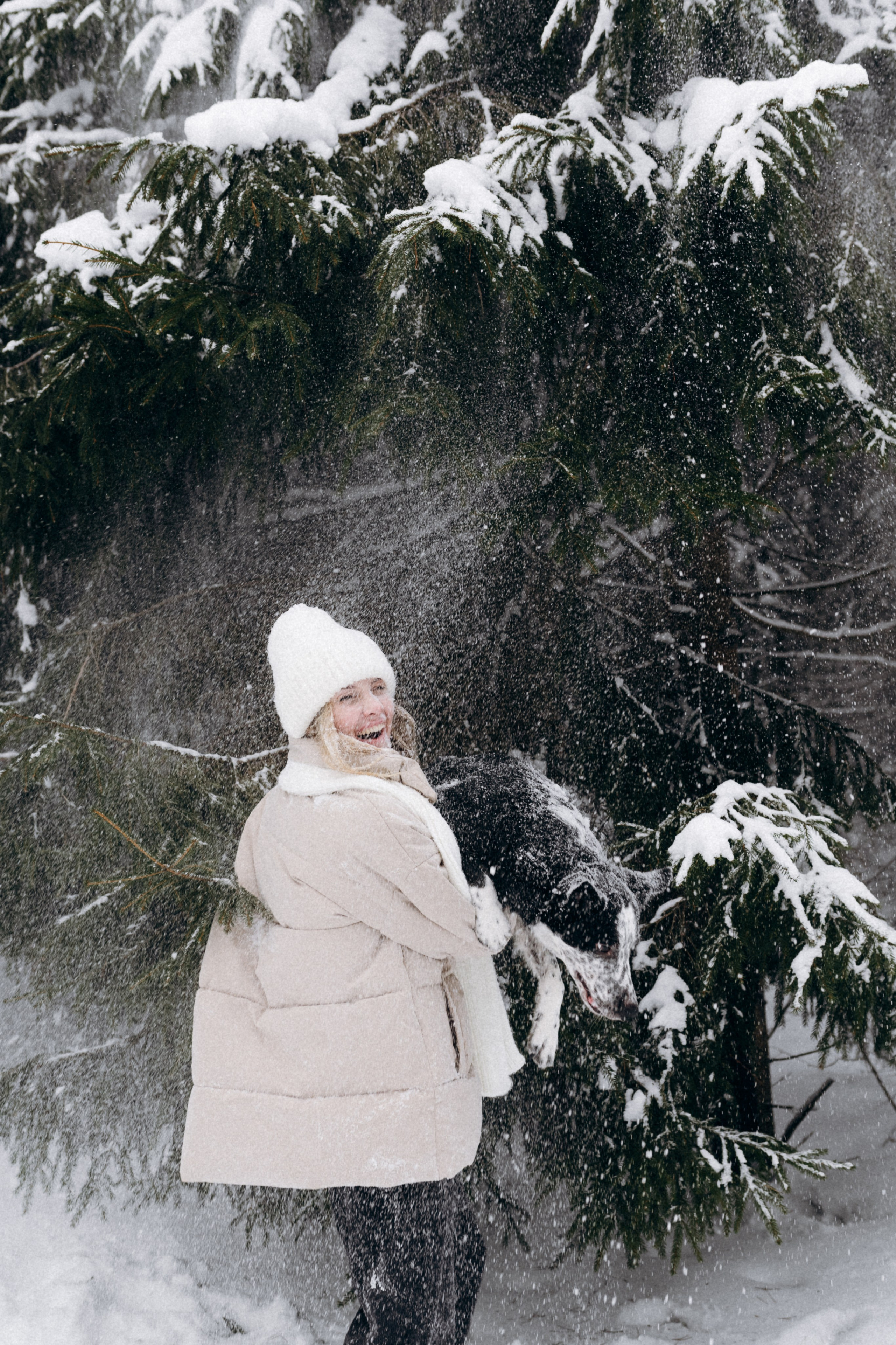 Аня и Милан. Фотограф анималист в Москве Ольга Агушева