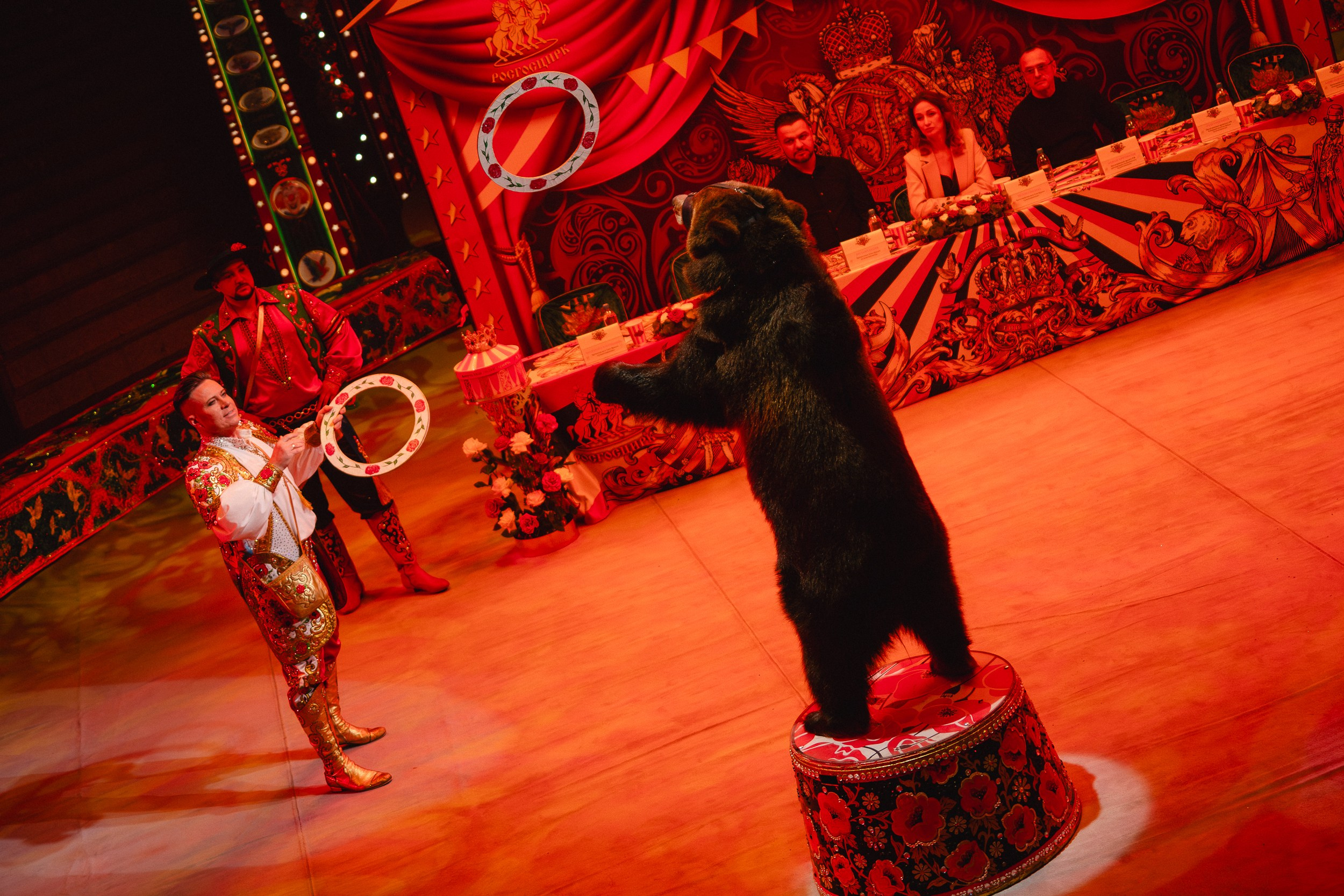 5 Континентов — Пресс-показ в Новосибирском Цирке. Воробьева Ксения — Спортивный и танцевальный фотограф Новосибирск