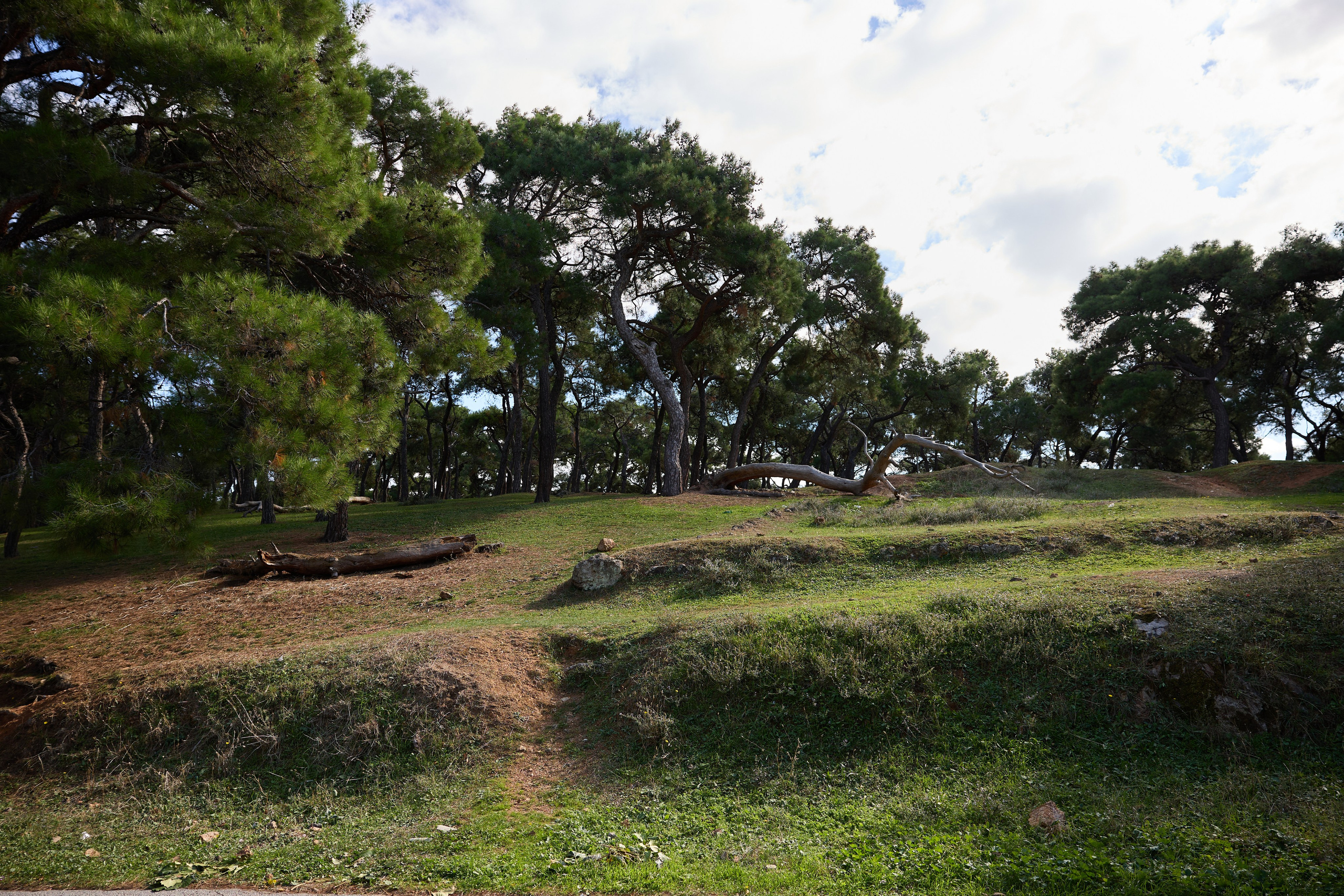 Стамбул 24. Фотограф Москва, Дима Пеллер