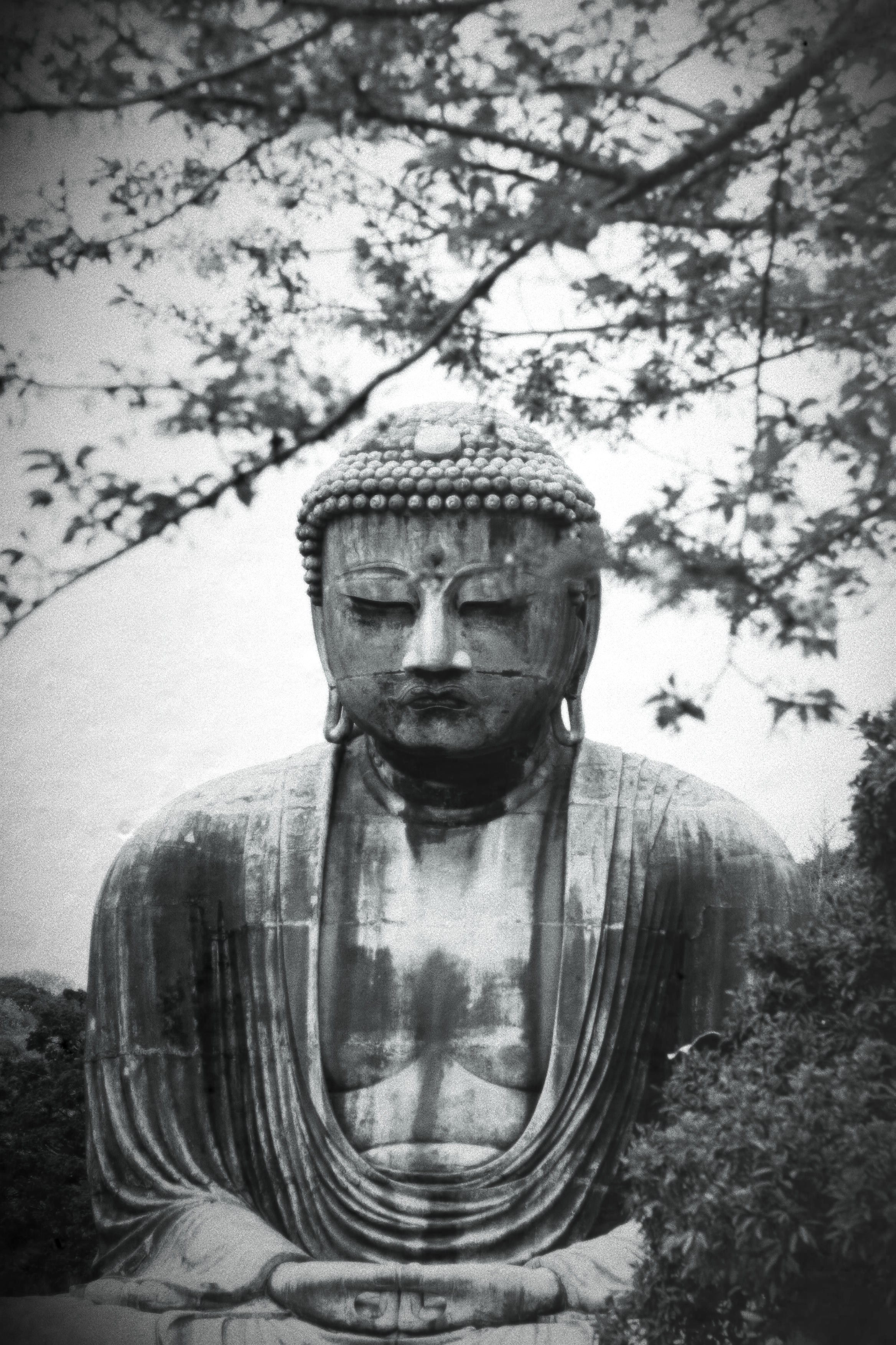 Япония. Фотография, ретушь, сканирование, восстановление старых фото, интерьерная съёмка, студия. Данилов Александр, Москва