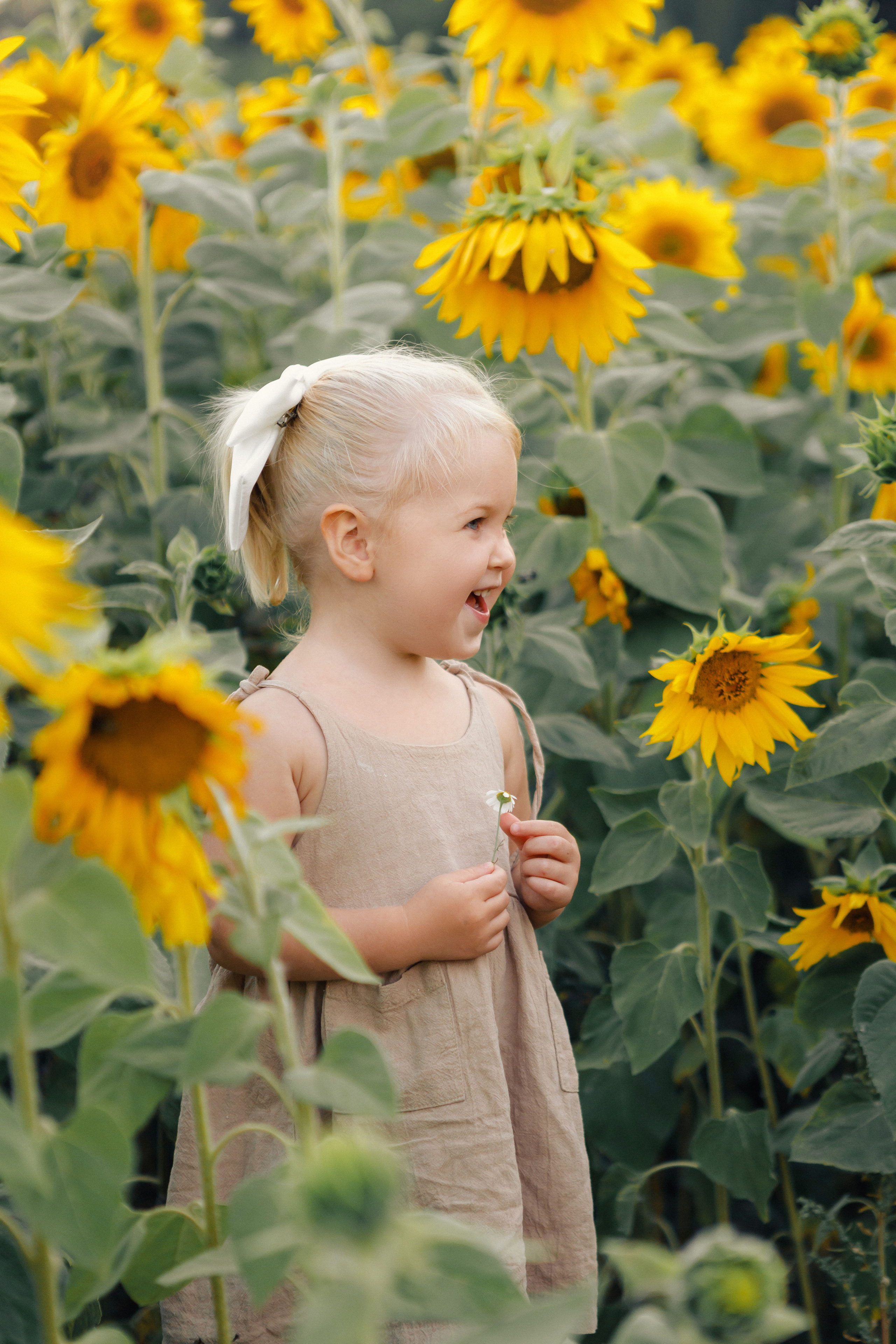 Фотосессия с подсолнухами