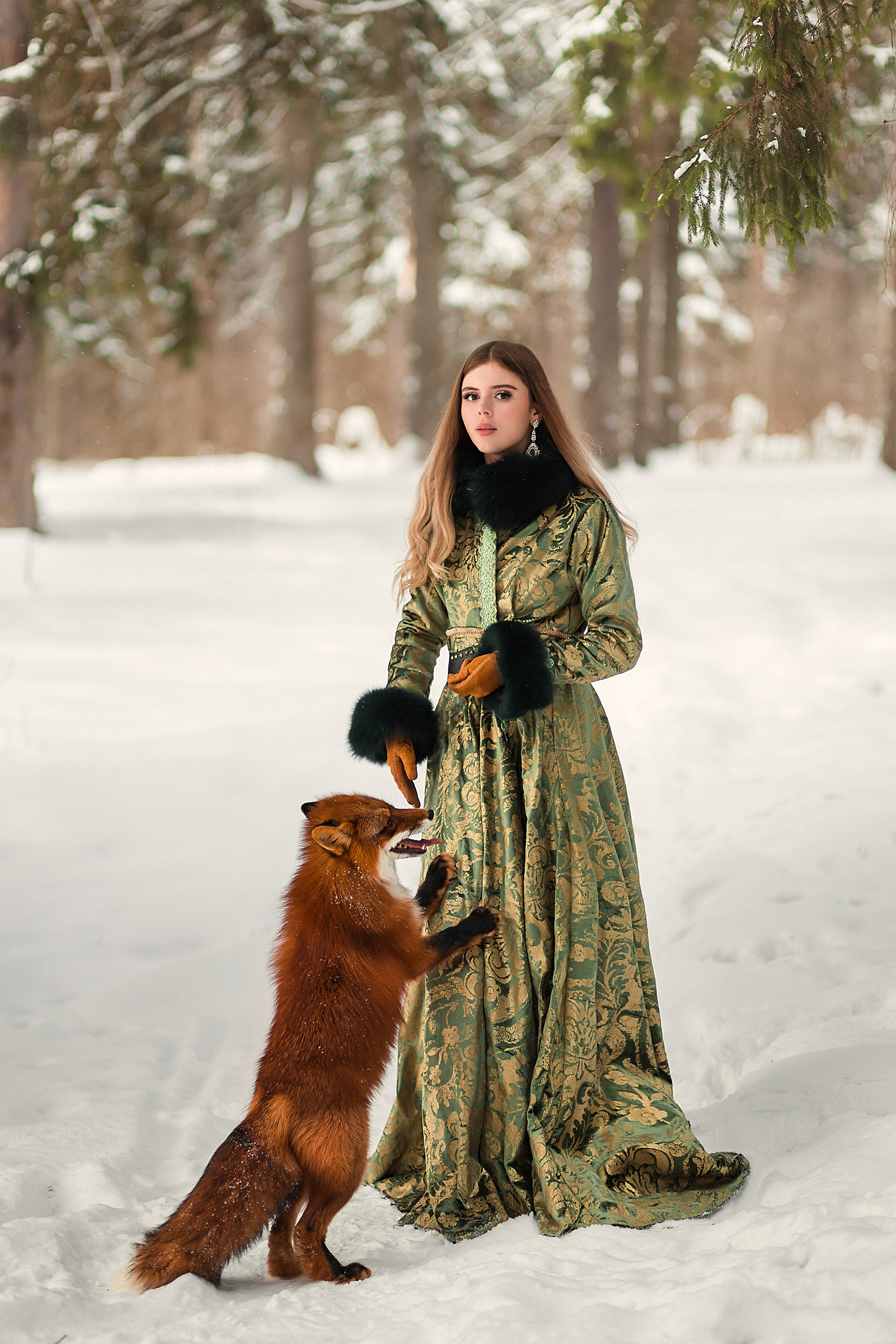 Фотосессия с лисой в Зеленограде