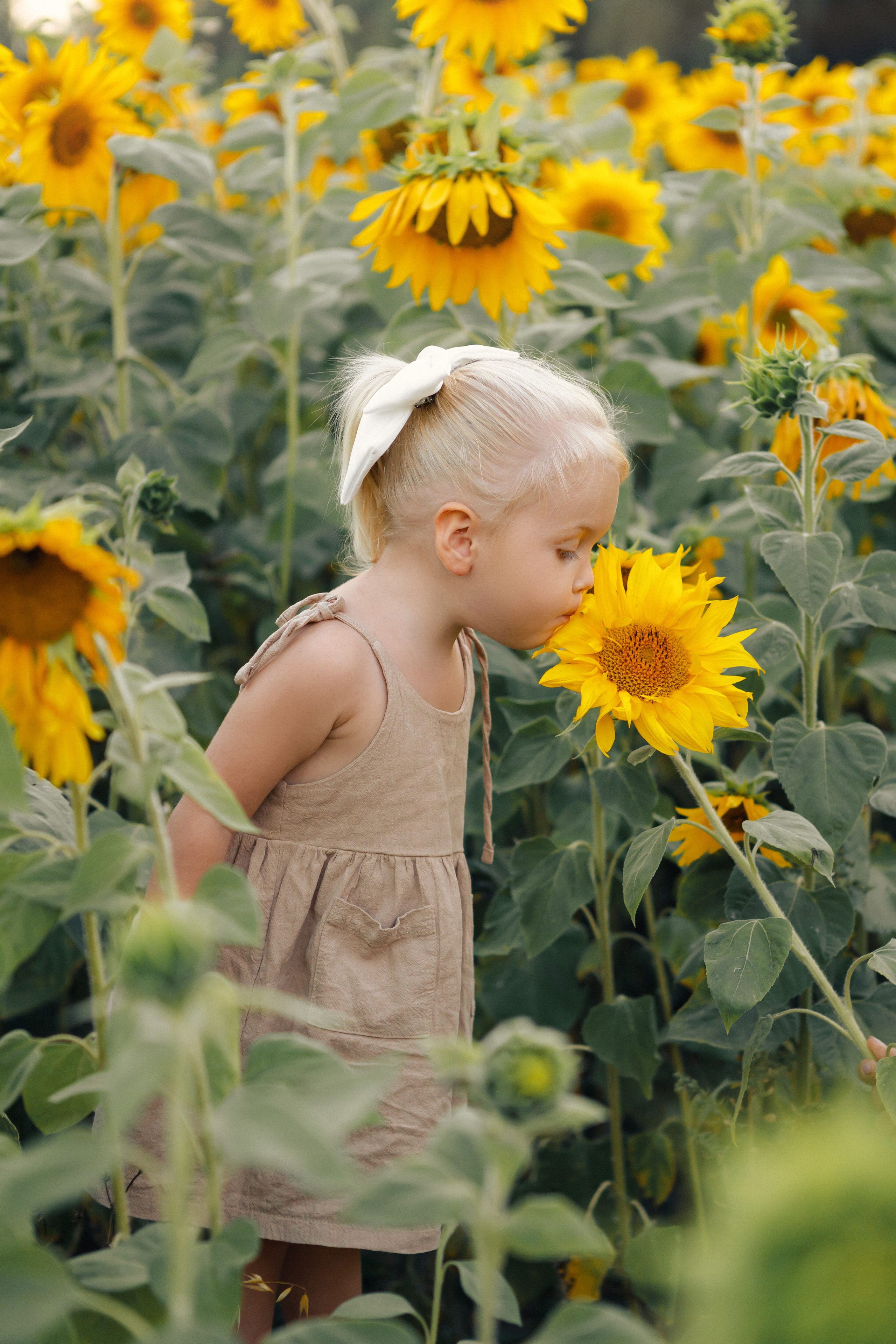 Фотосессия с подсолнухами
