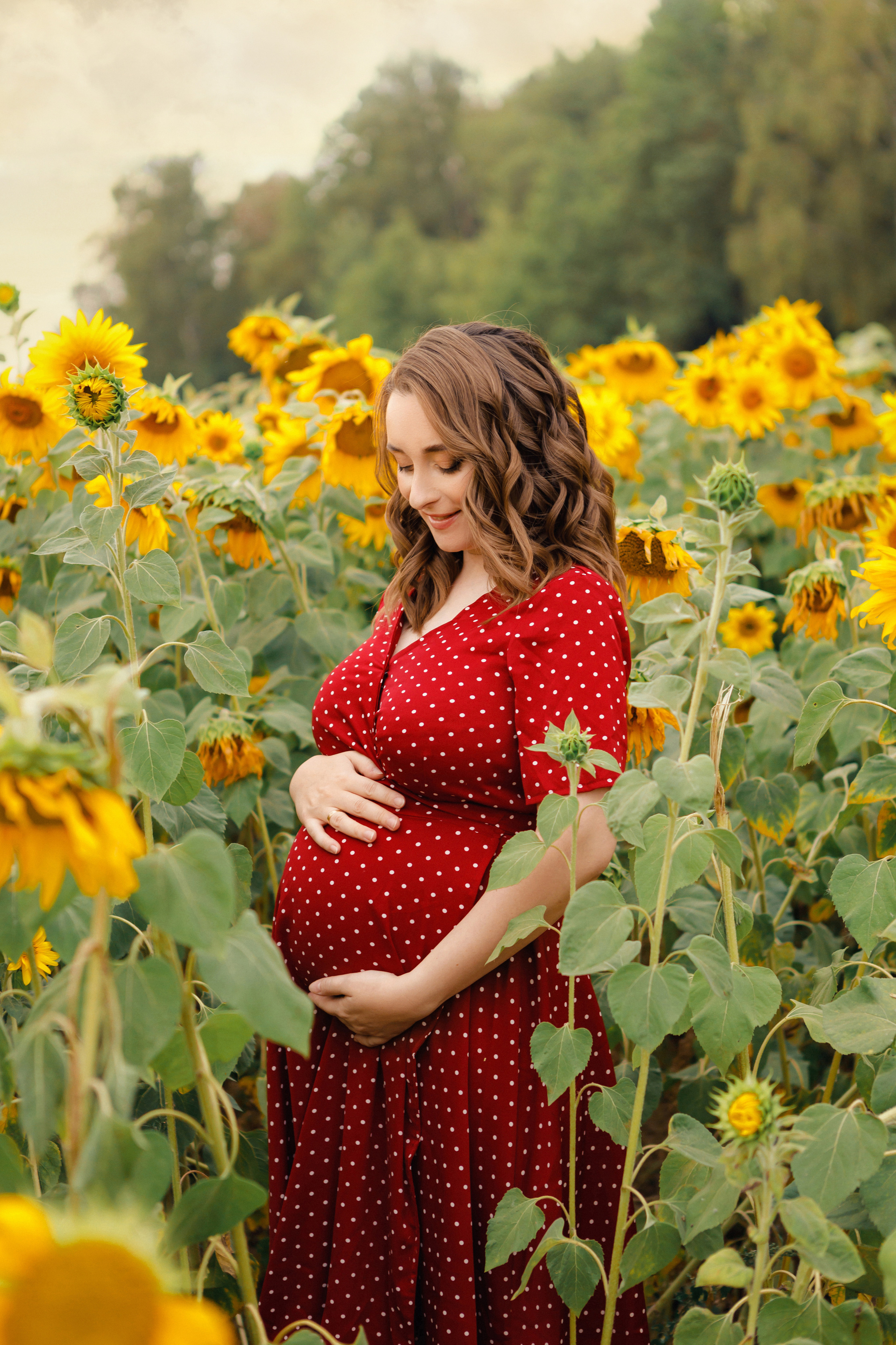 Фотосессия с подсолнухами. Зотова Алена — семейный и женский фотограф в Зеленограде