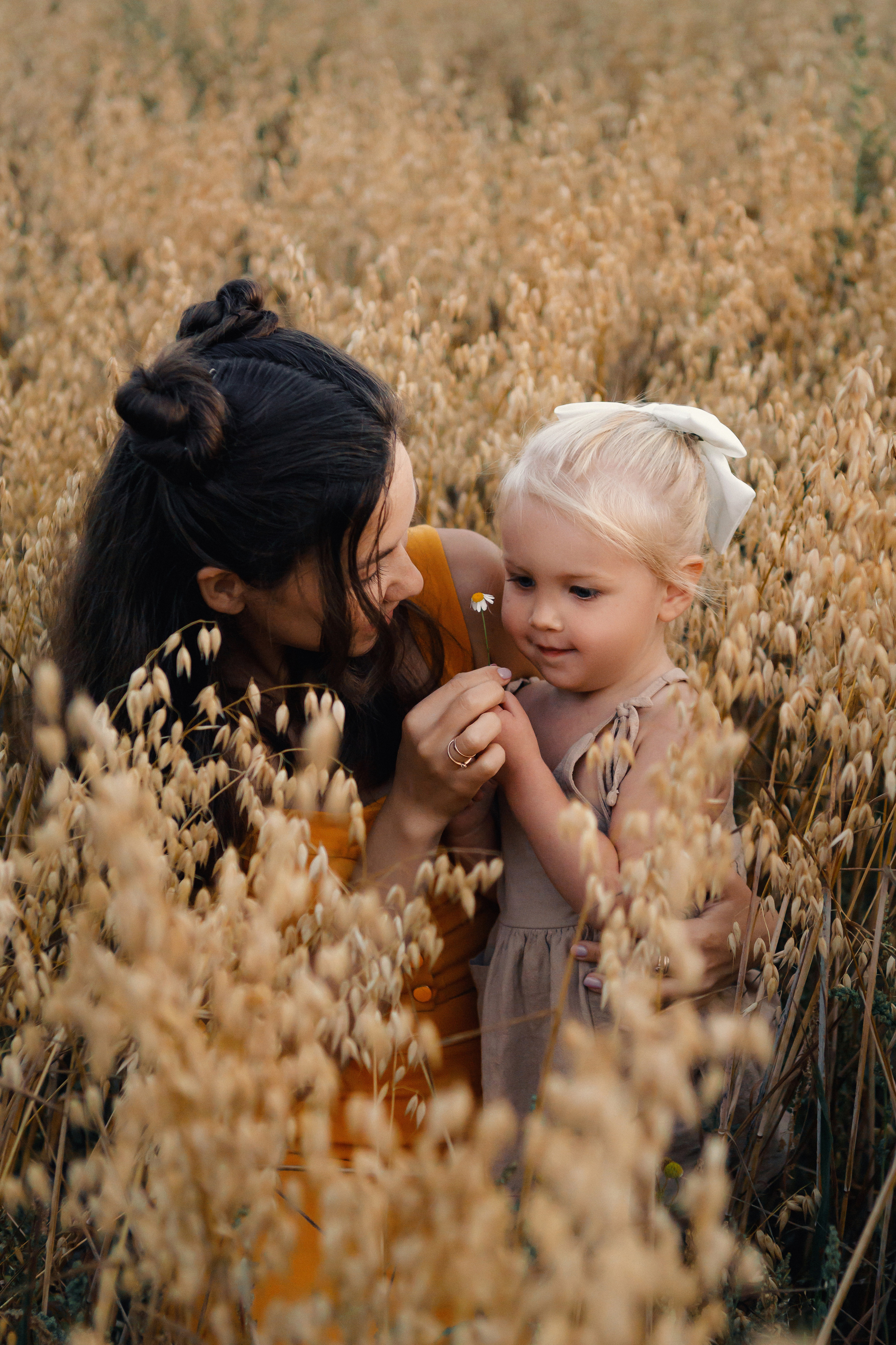 Фотосессия в подсолнухах. Зотова Алена — семейный и женский фотограф в Зеленограде