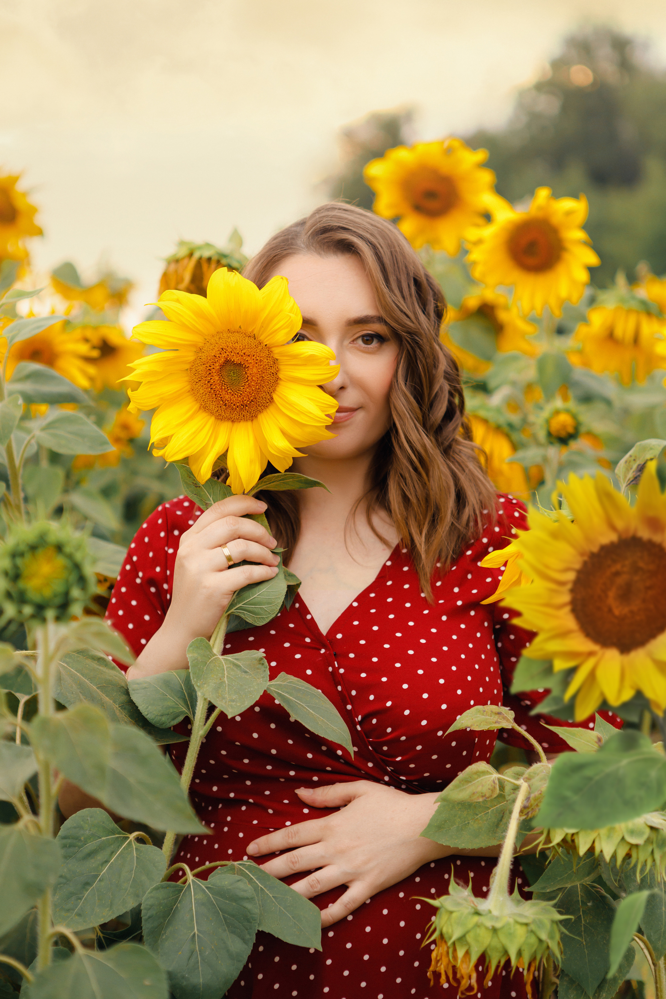Фотосессия с подсолнухами. Зотова Алена — семейный и женский фотограф в Зеленограде