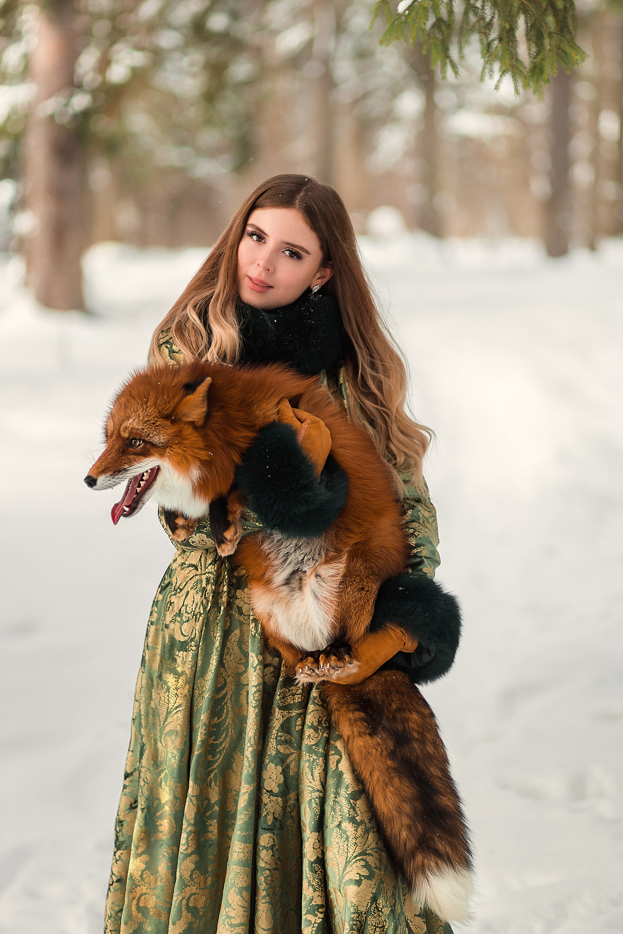 Фотосессия с лисой в Зеленограде