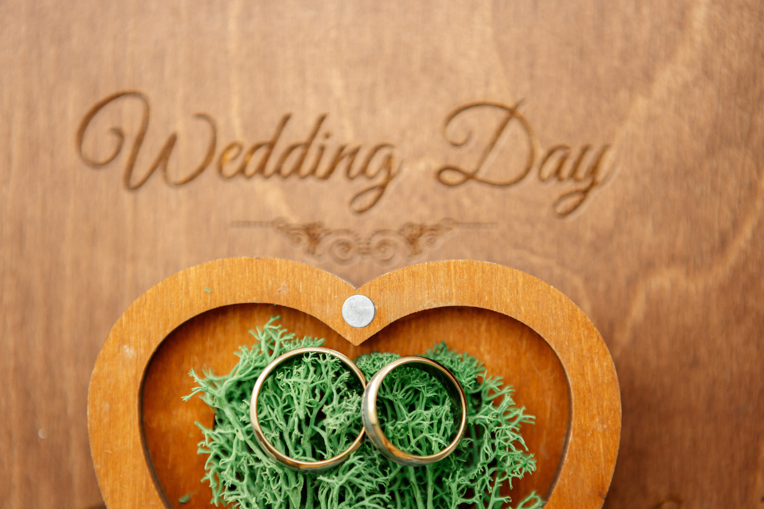 Свадебная фотосессия. Зотова Алена — семейный и женский фотограф в Зеленограде