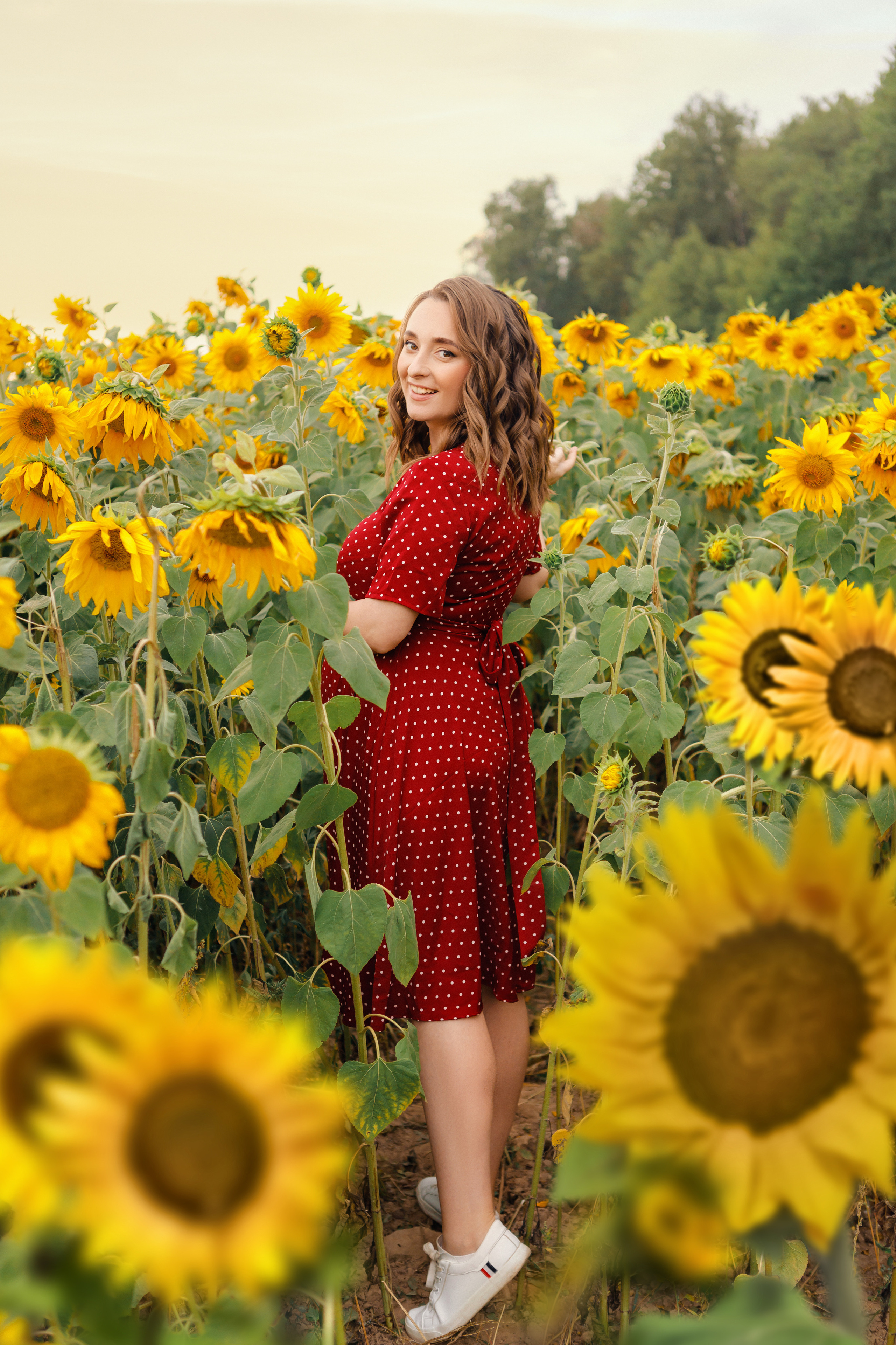 Фотосессия с подсолнухами. Зотова Алена — семейный и женский фотограф в Зеленограде