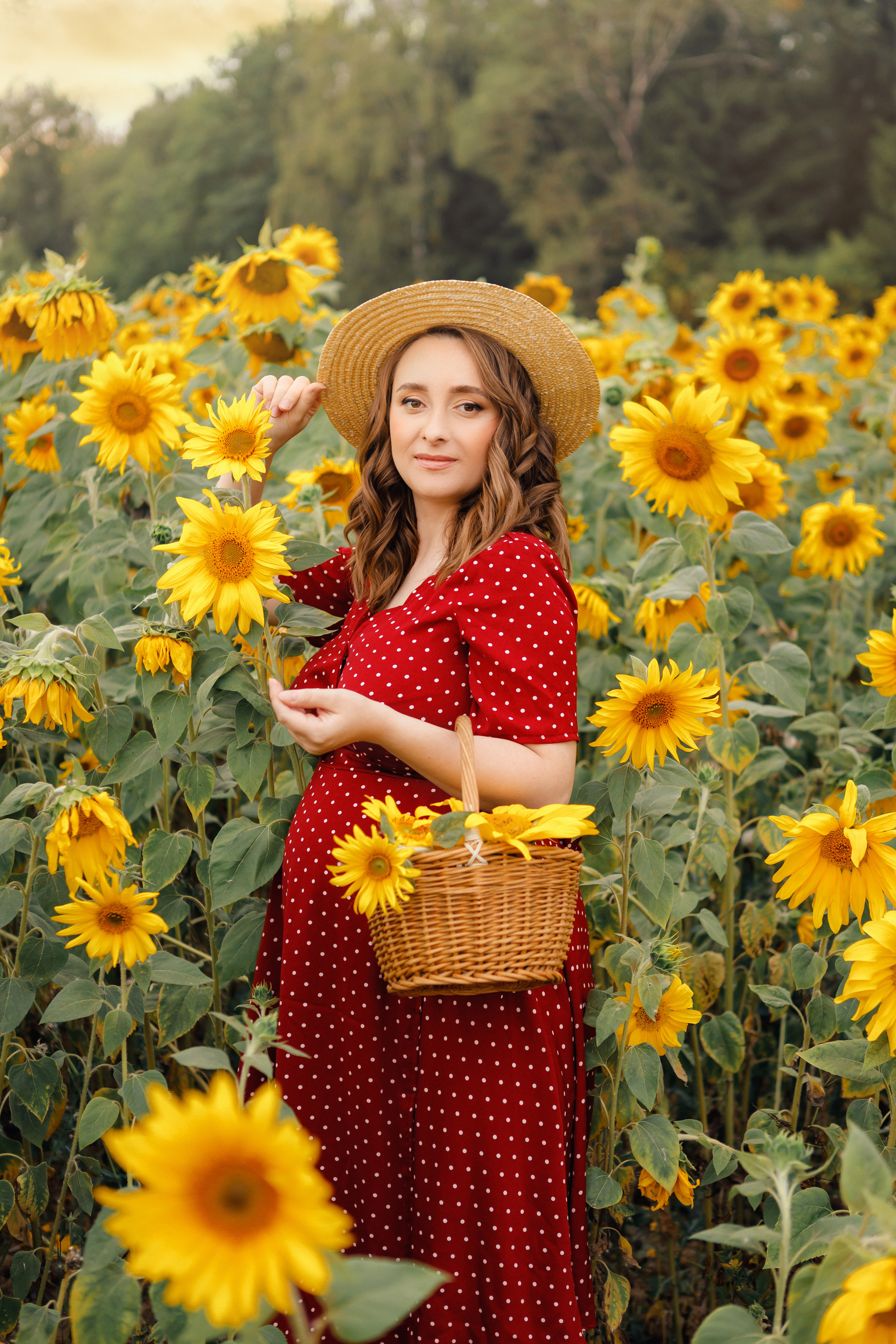 Фотосессия с подсолнухами. Зотова Алена — семейный и женский фотограф в Зеленограде