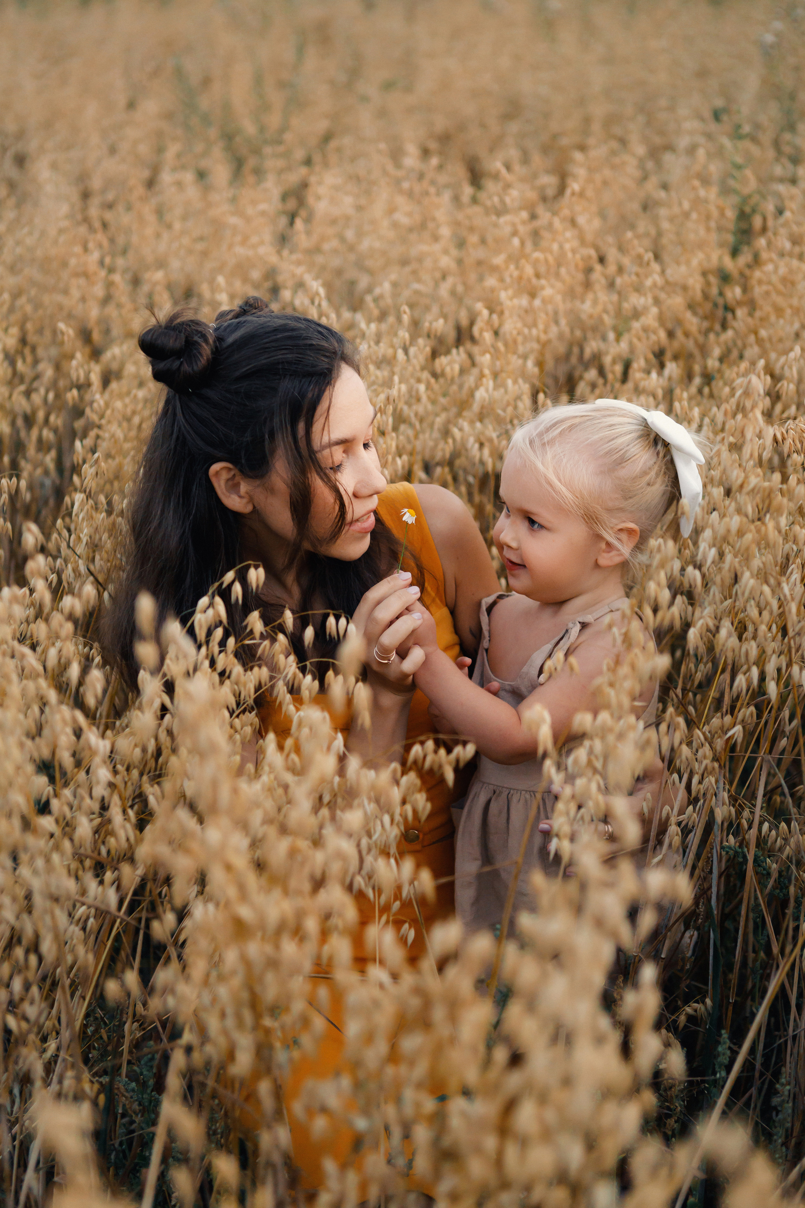 Фотосессия в подсолнухах. Зотова Алена — семейный и женский фотограф в Зеленограде