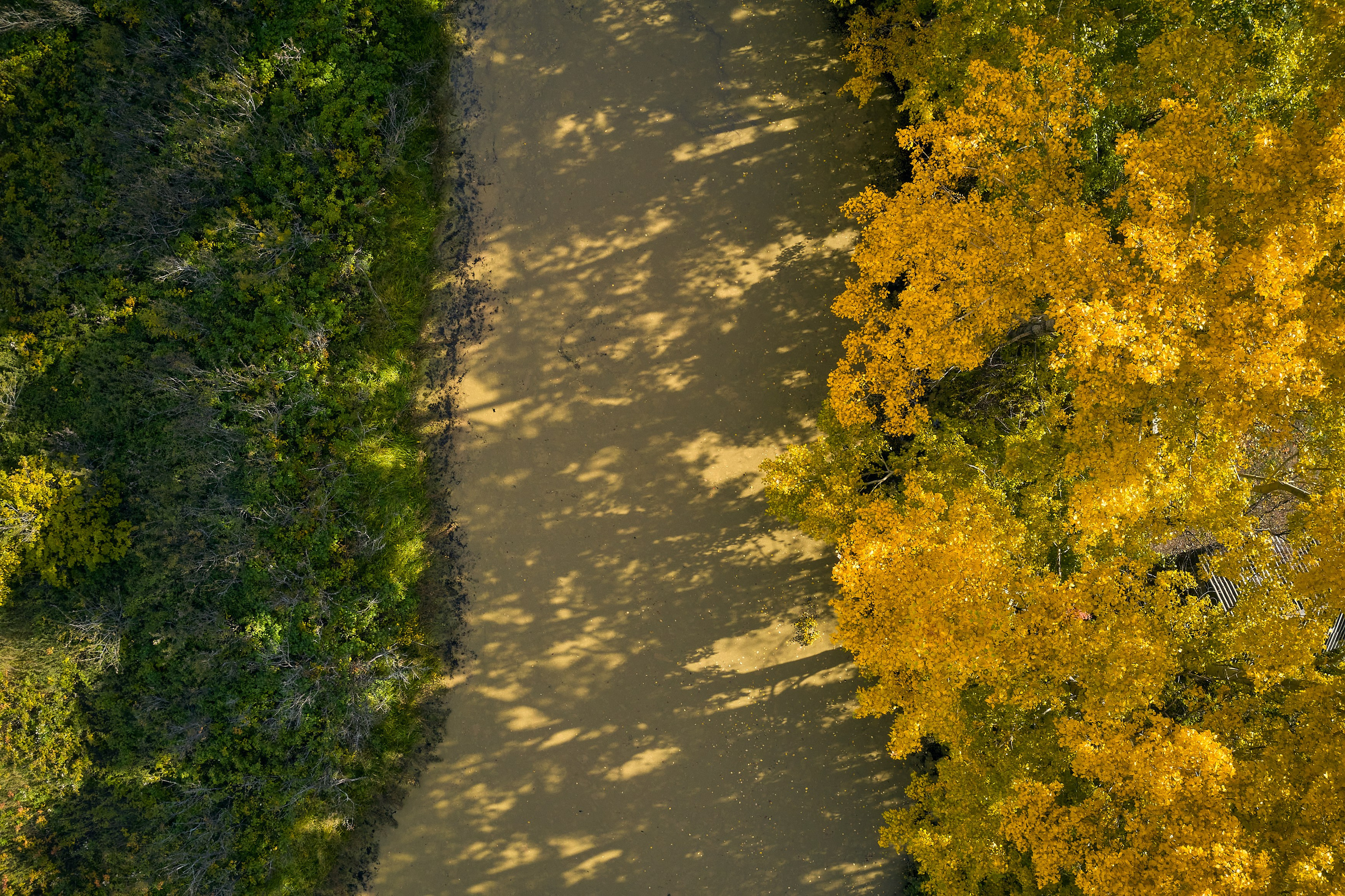 Съемка в полете. DMITRY MOISEENKO — фотограф, художник, топ-стилист