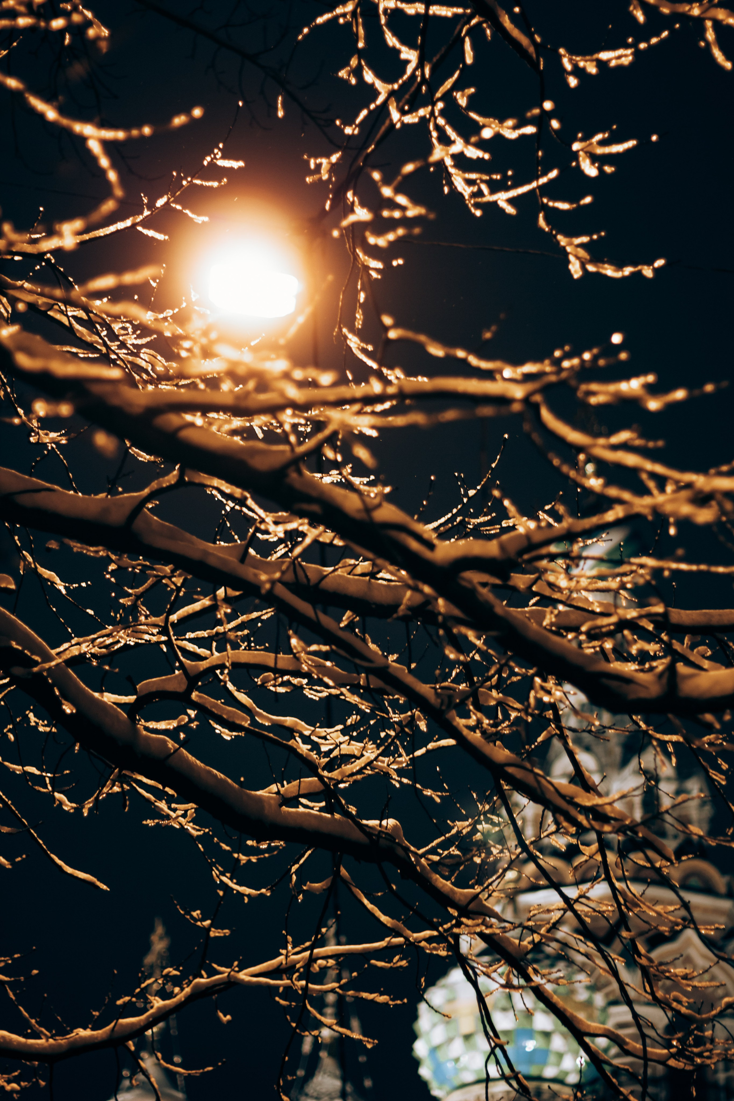 Фотограф Анастасия Епифанова. Санкт-Петербург и Ленинградская область. Портретный фотограф в Санкт-Петербурге Анастасия Епифанова