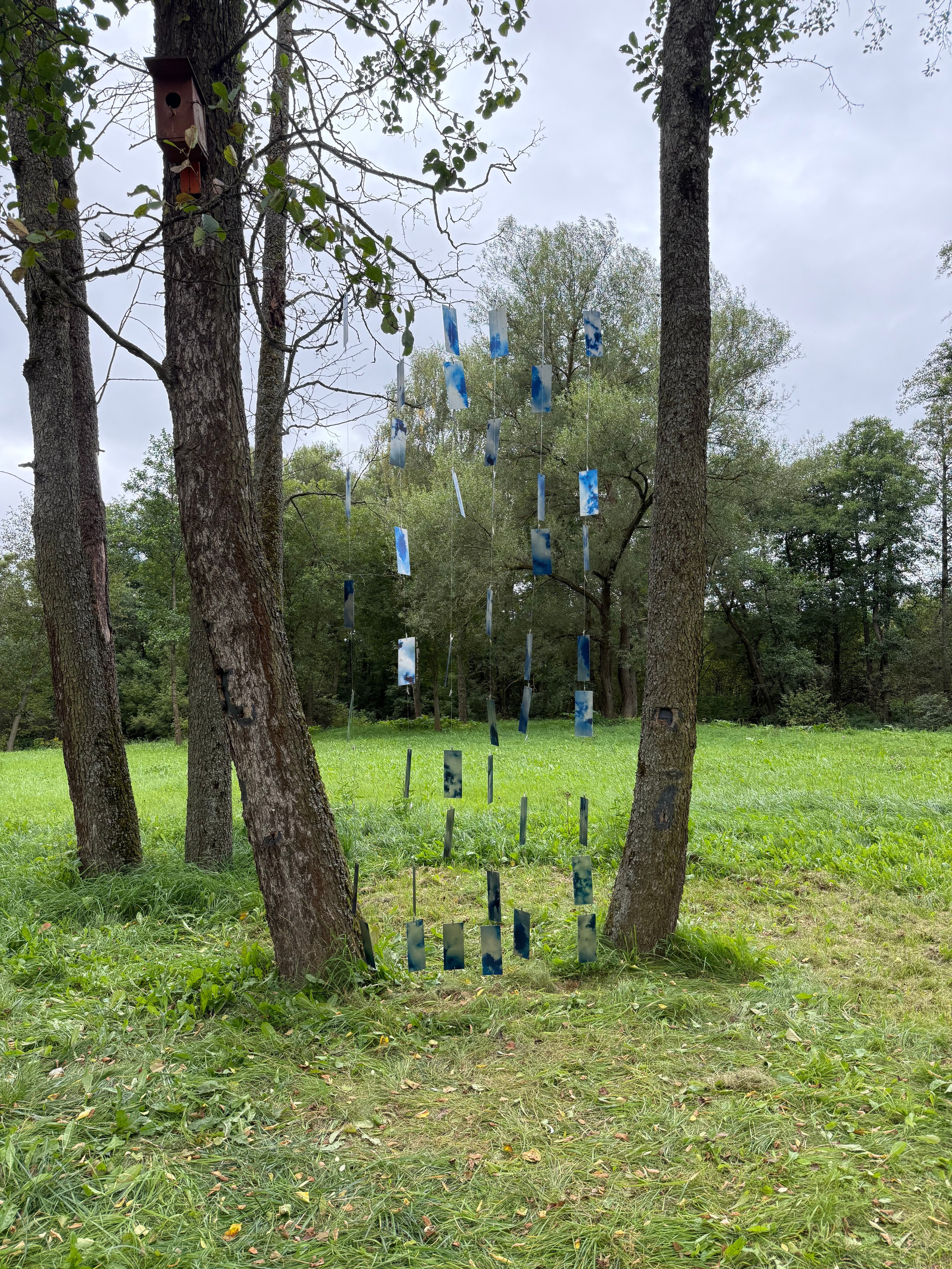 «Какой большой ветер», групповая выставка, 28.08-21.09.2025, парк-отель «Белые Аллеи». Лера Круглова