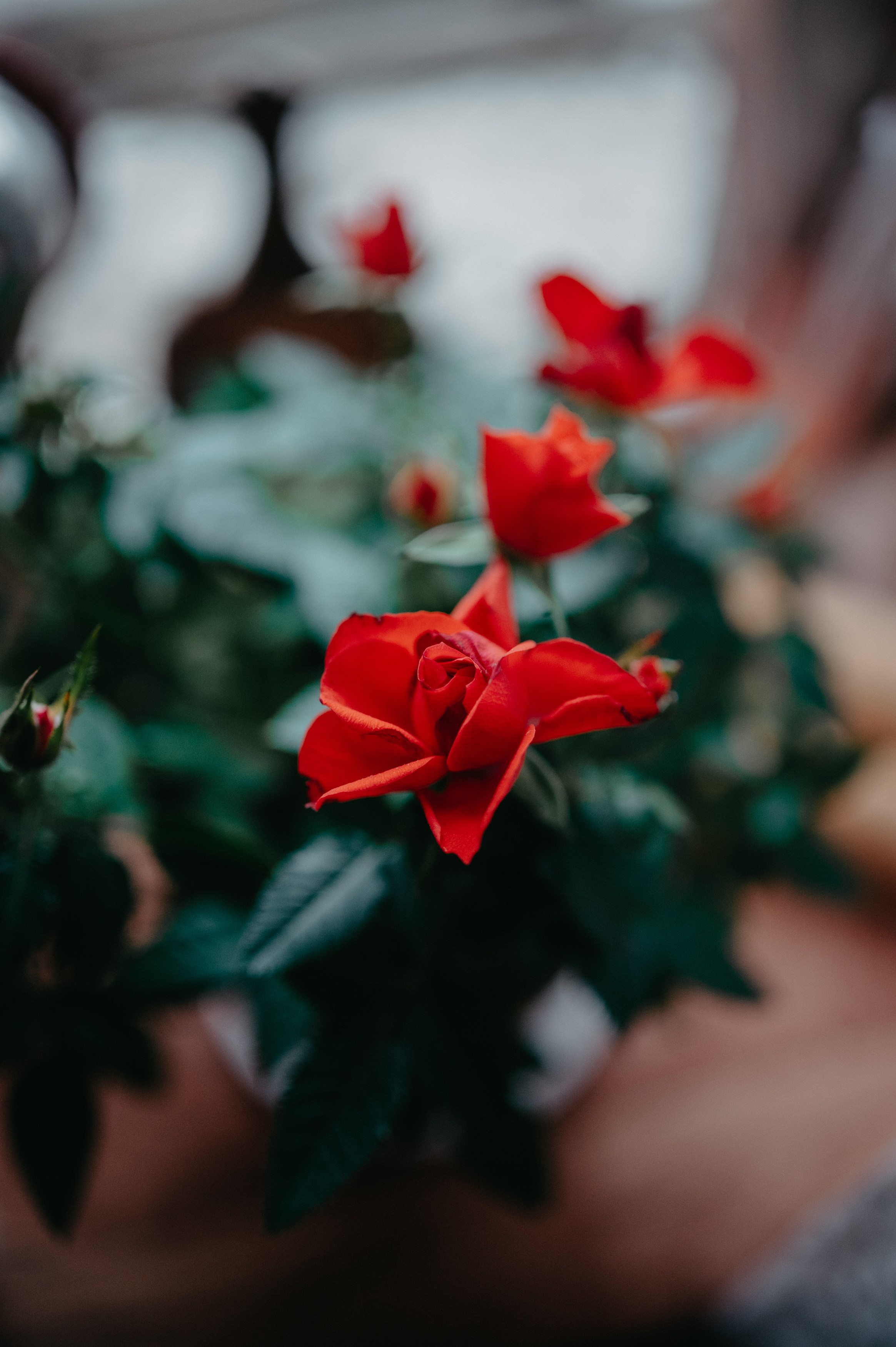 Контент фотограф Илья Урс